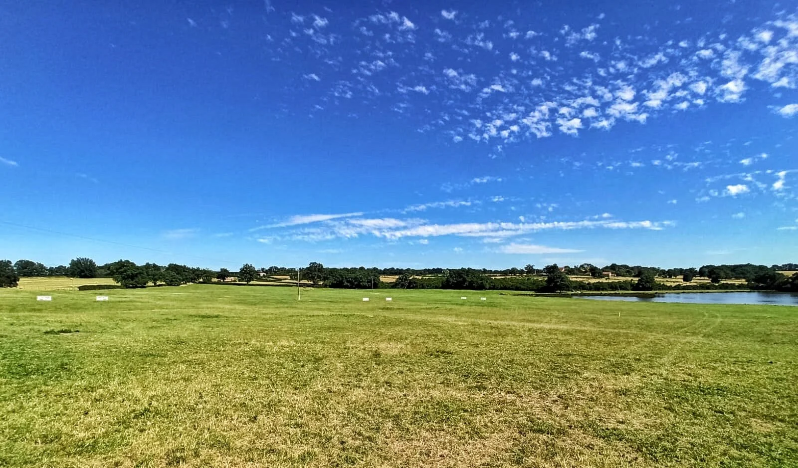 Entraînement concours spécial border#EweTilityDogTraining #SheepdogTraining