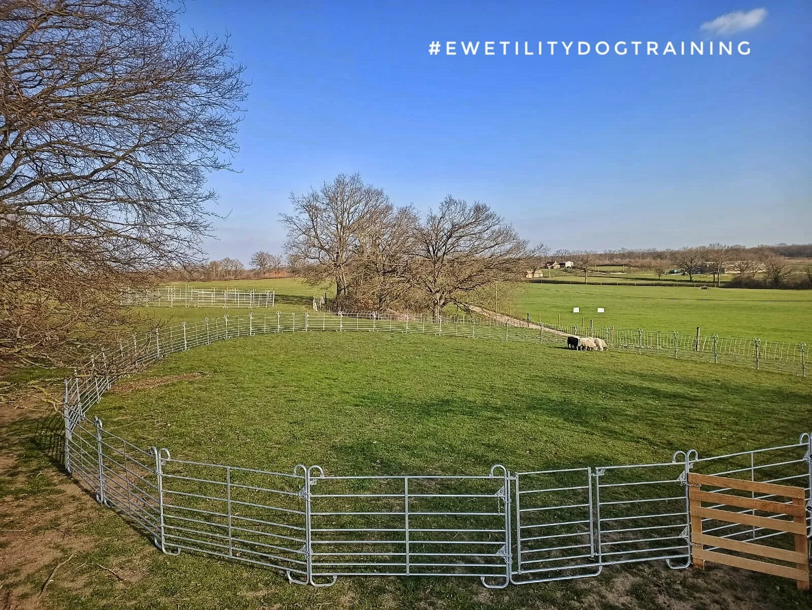 Encore un espace de travail supplémentaire pour démarrer les jeunes chiens.