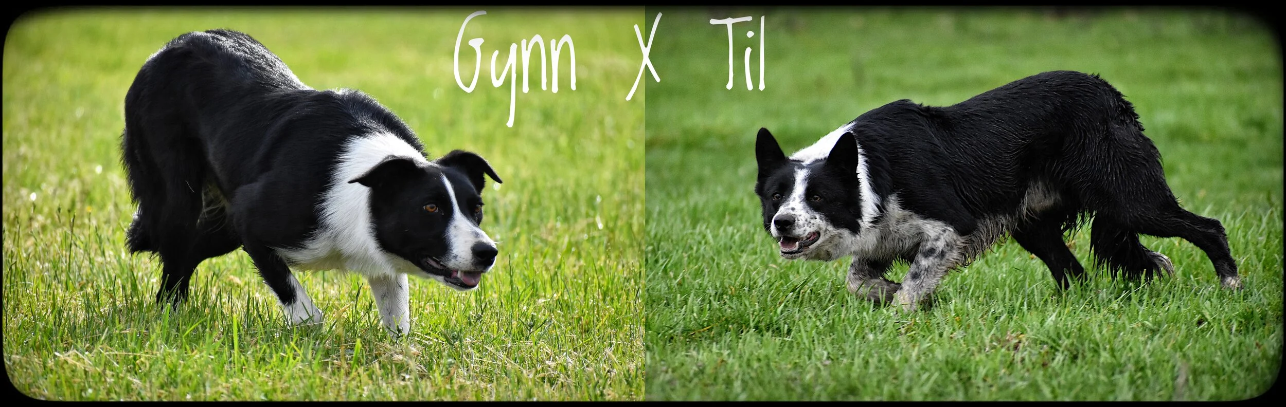 Sans titre 2-01.jpeg