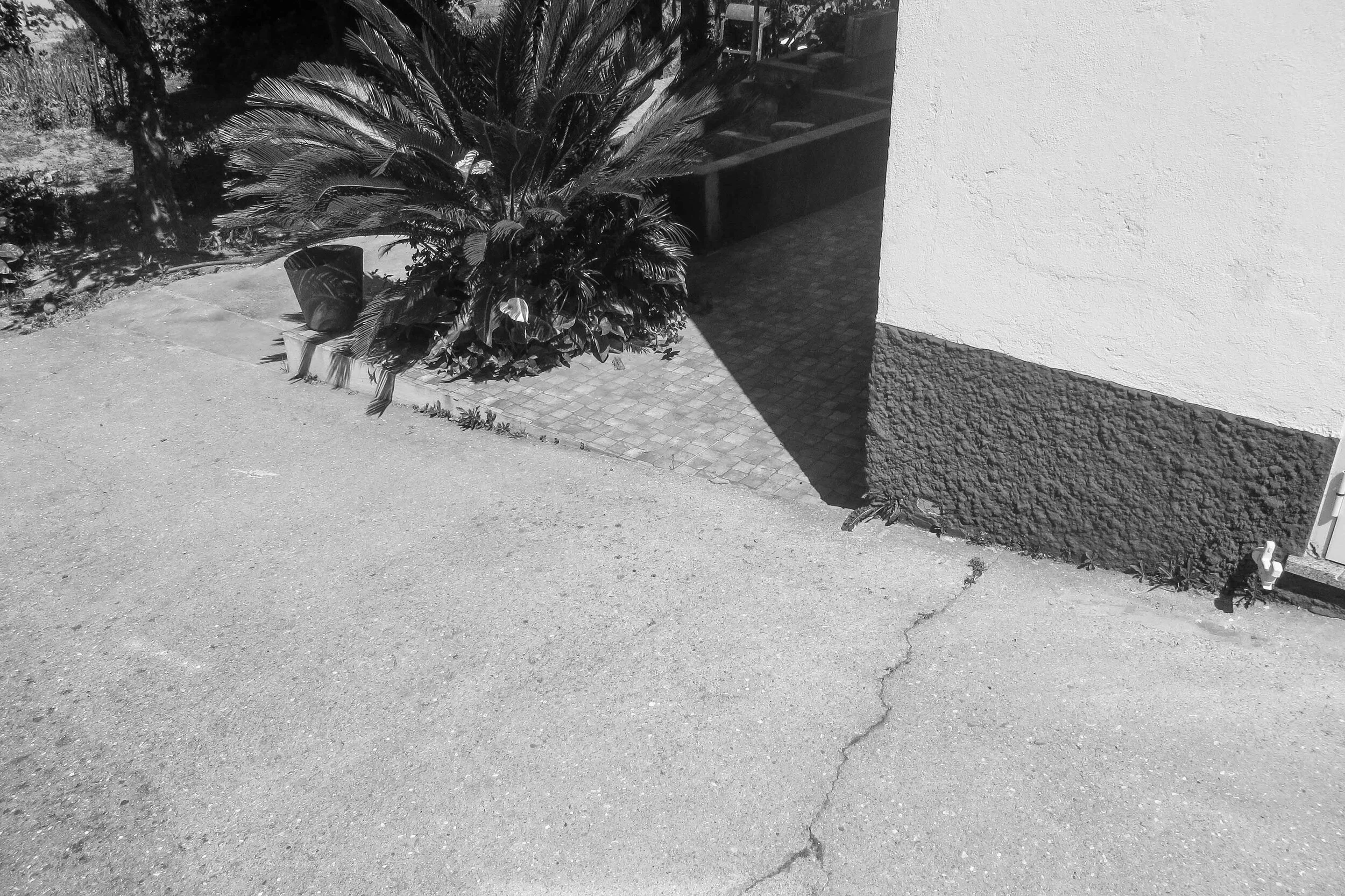 a001_fotos pré_02.jpg