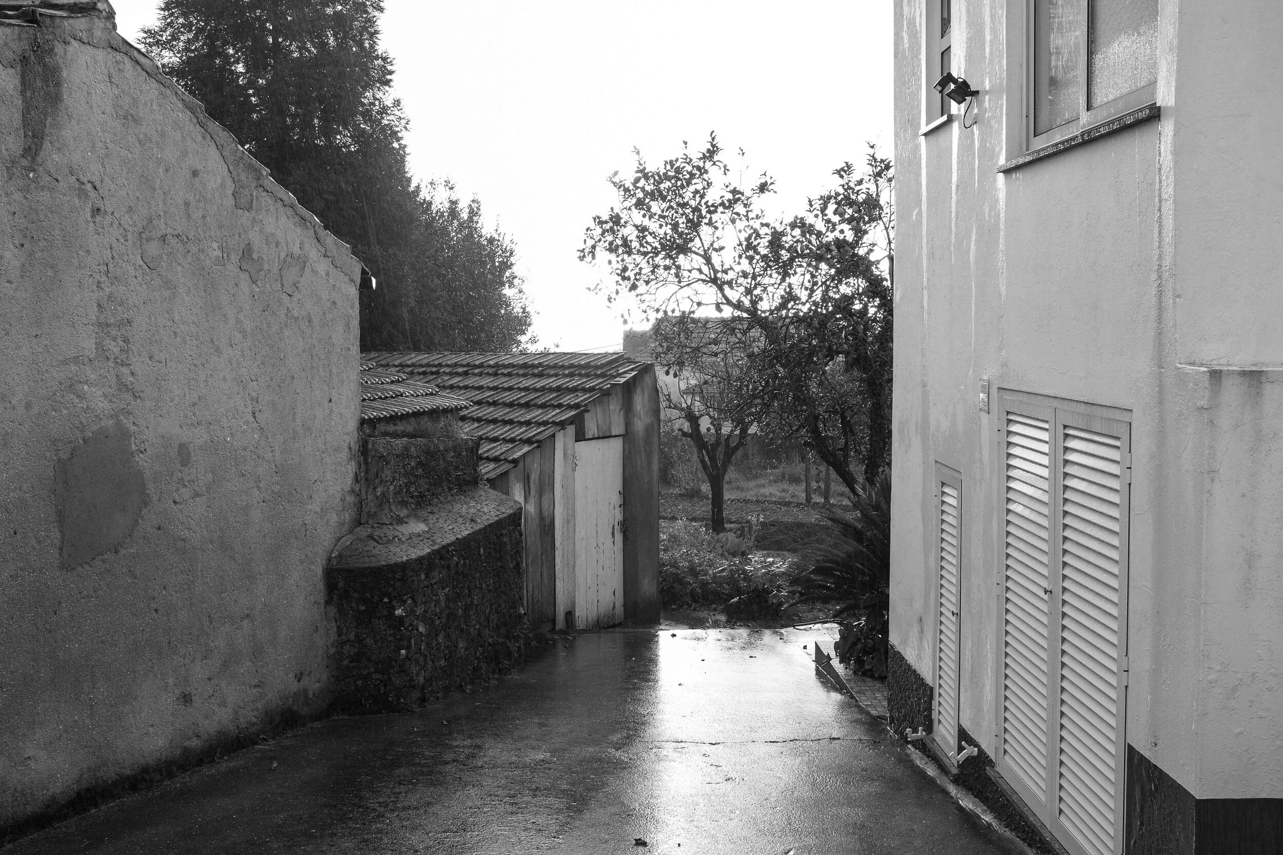 a001_fotos pré_01.jpg