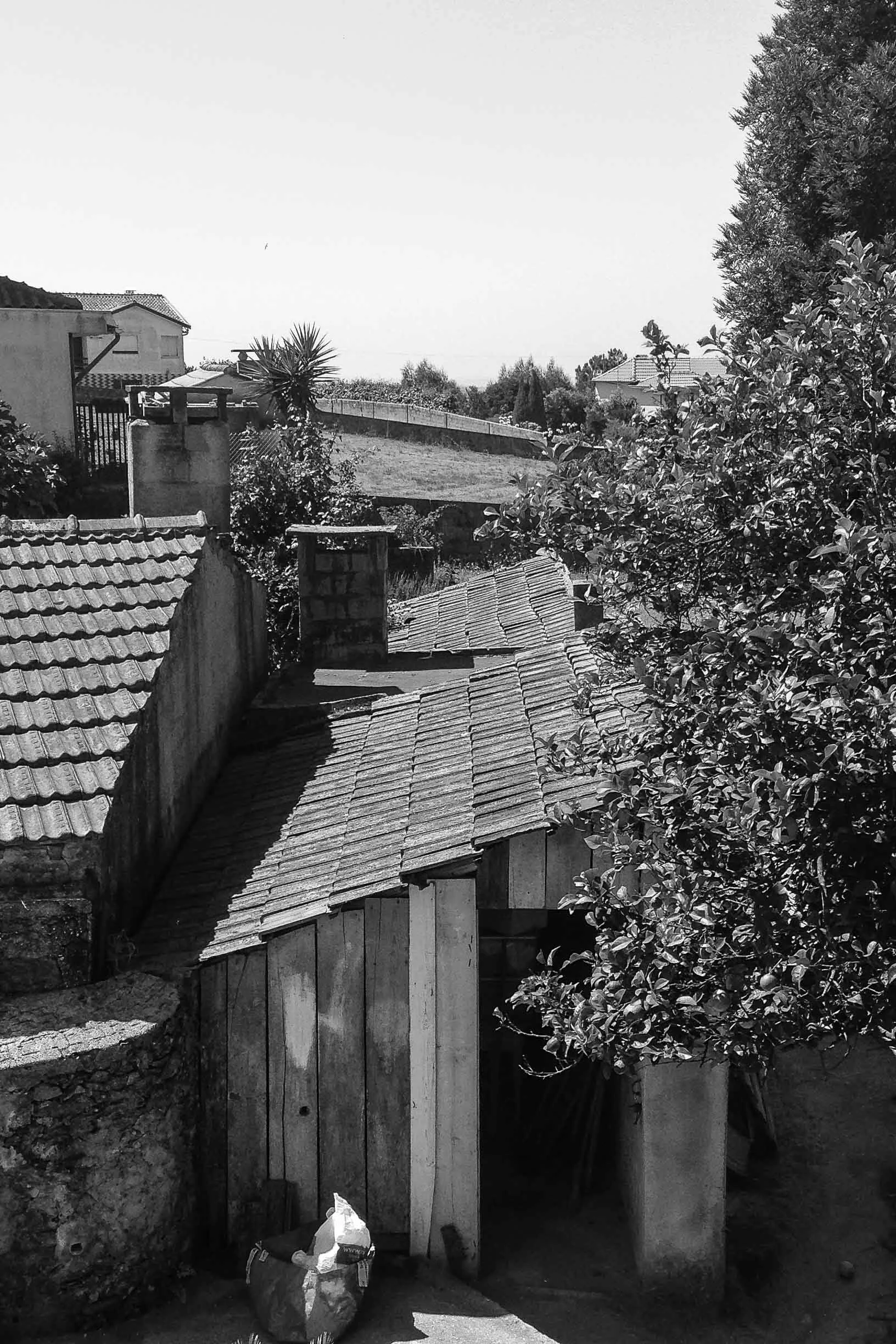 a001_fotos pré_03.jpg