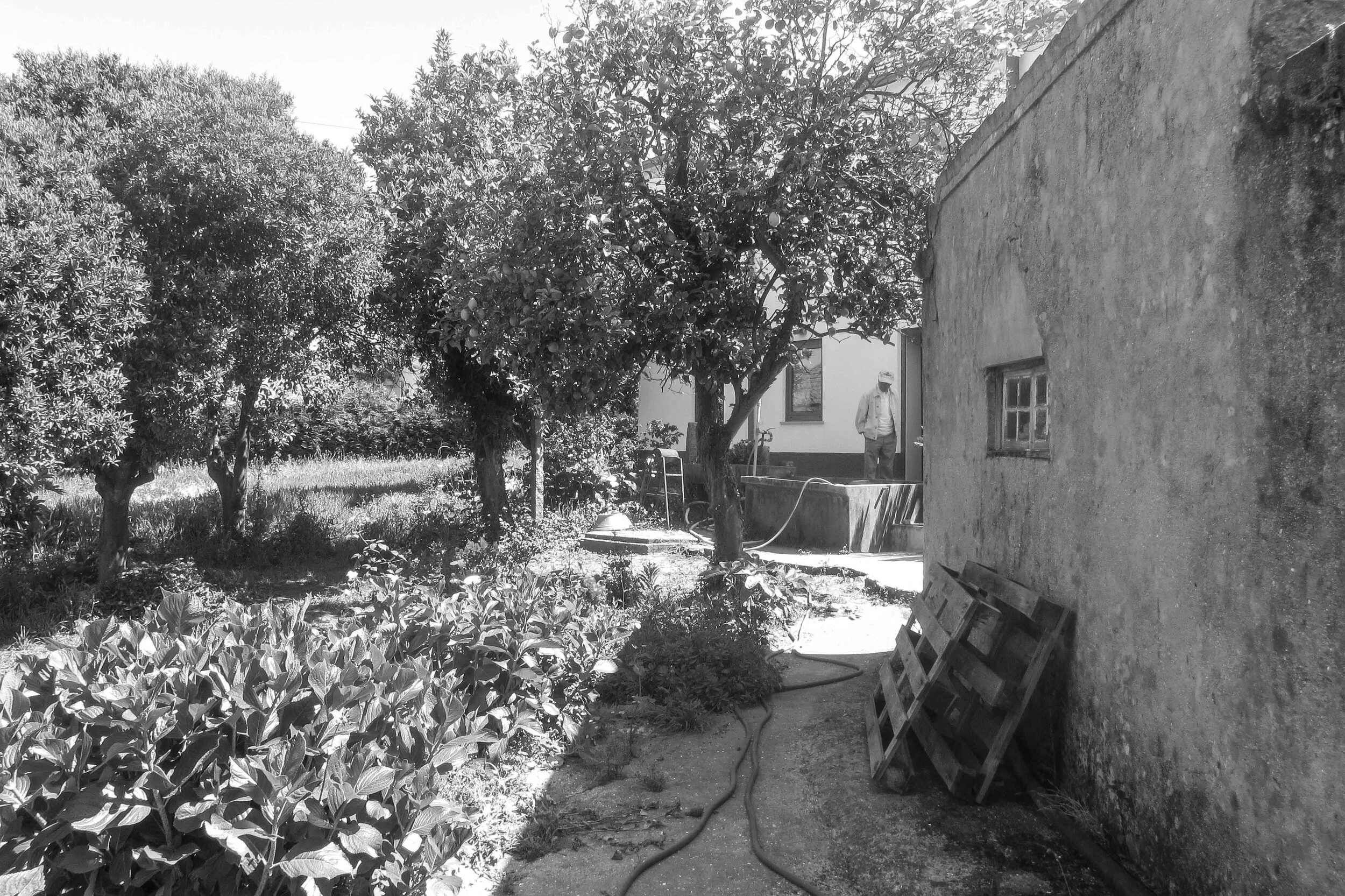 a001_fotos pré_005.jpg