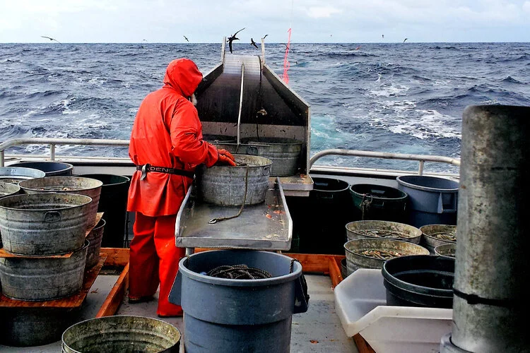 Undercurrent News: NOAA to further delay return of  fishery observers in Northeast US after all