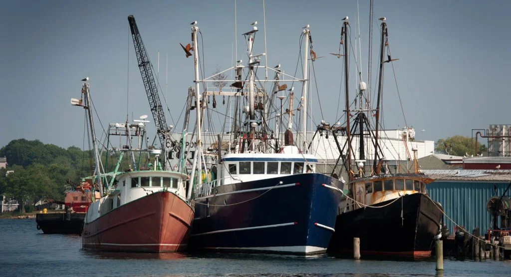 Ocean climate bill promotes offshore wind, conservation; prime for after election