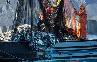 SeafoodSource: Survey identifies top tech needs of US seafood harvesters