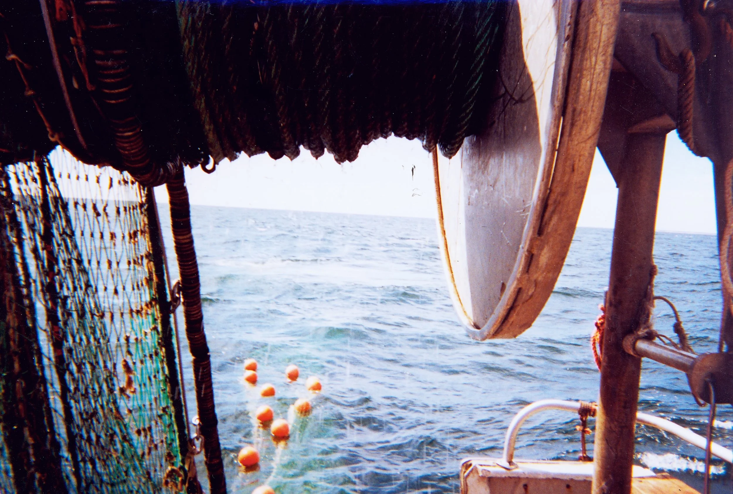 Harvesters applaud USDA recognition of fishermen as “Farmers of the Sea”, Appointment of Seafood Liaison