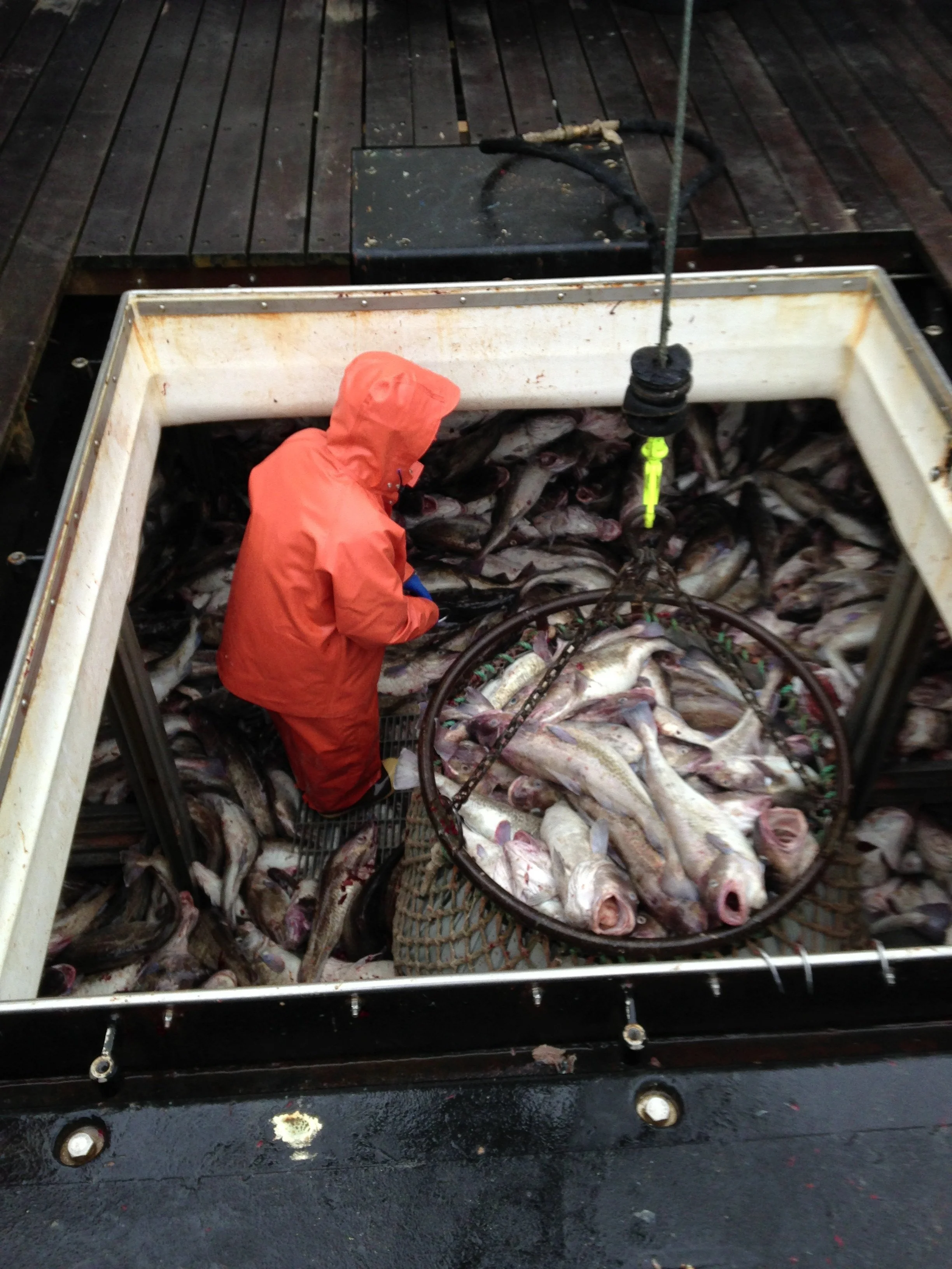 Seafood Harvesters of America statement on markup of Magnuson Stevens Act Reauthorization bill 