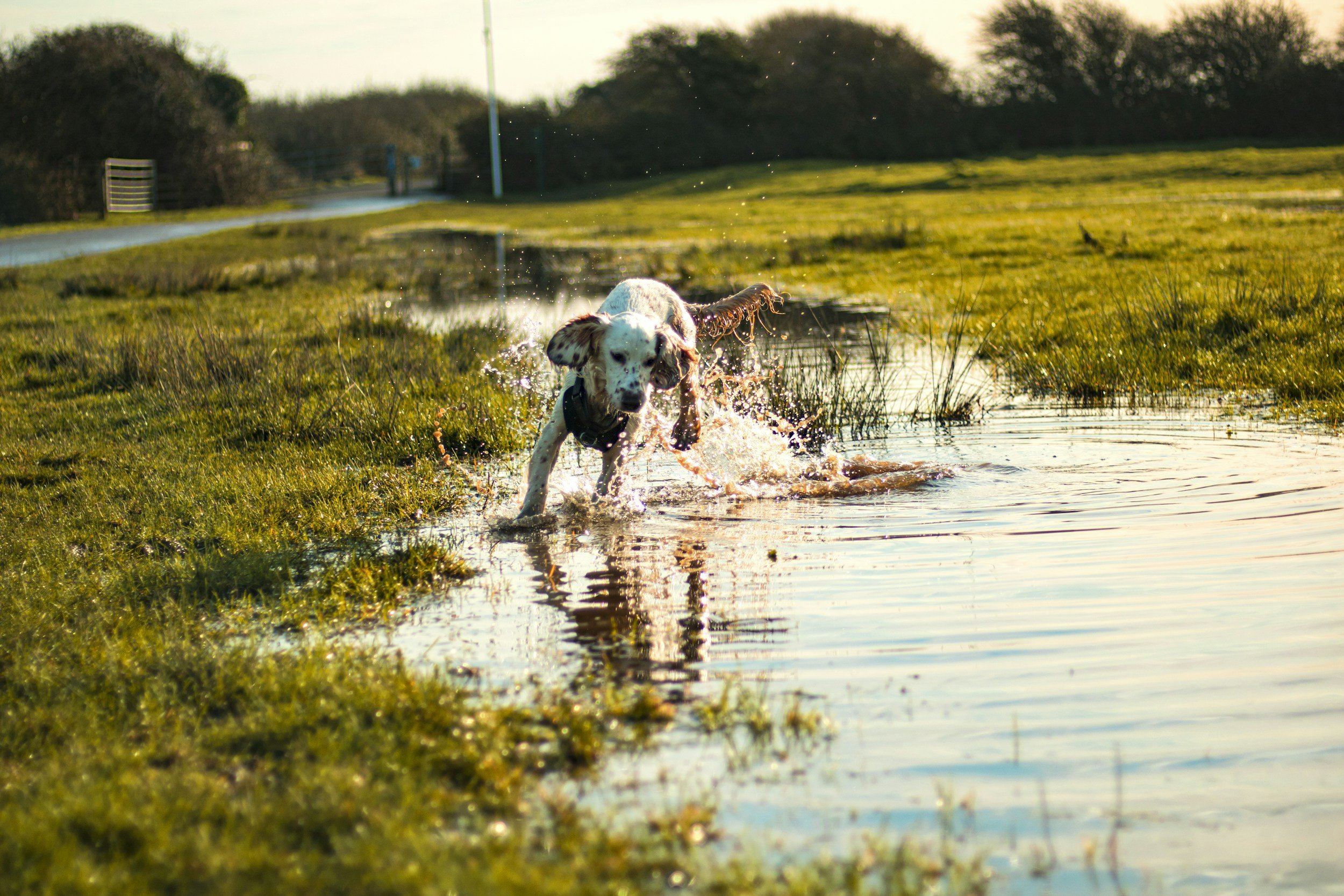Floods, puddles and “strong” refusals
