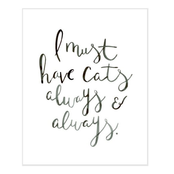 I Must Have Cats Always Art Print