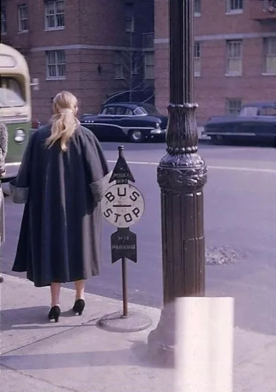 A Pollinated Sea: Cecile Forman