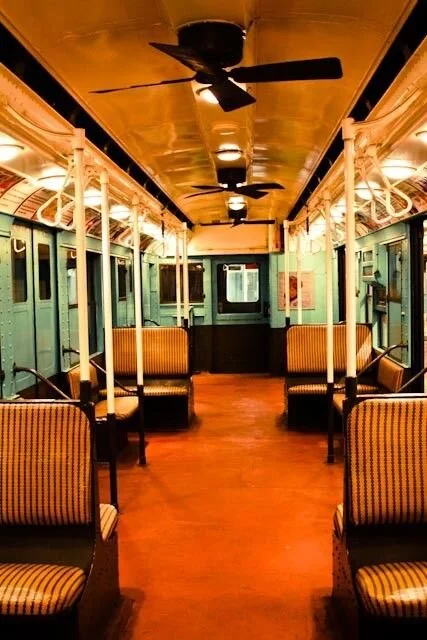 Dissolve, Until I Was Painted Over: Sammie Hershock