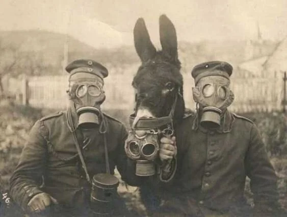 Feral Child of Nowhere: Cecile Forman