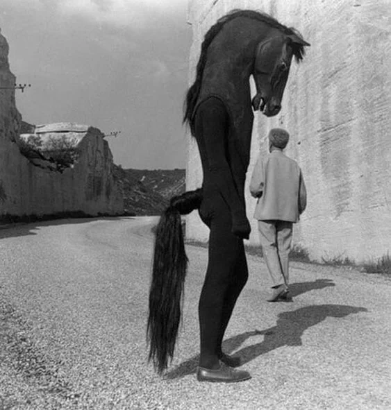 You Say Mornings Are the Only Time: Bernadette McComish