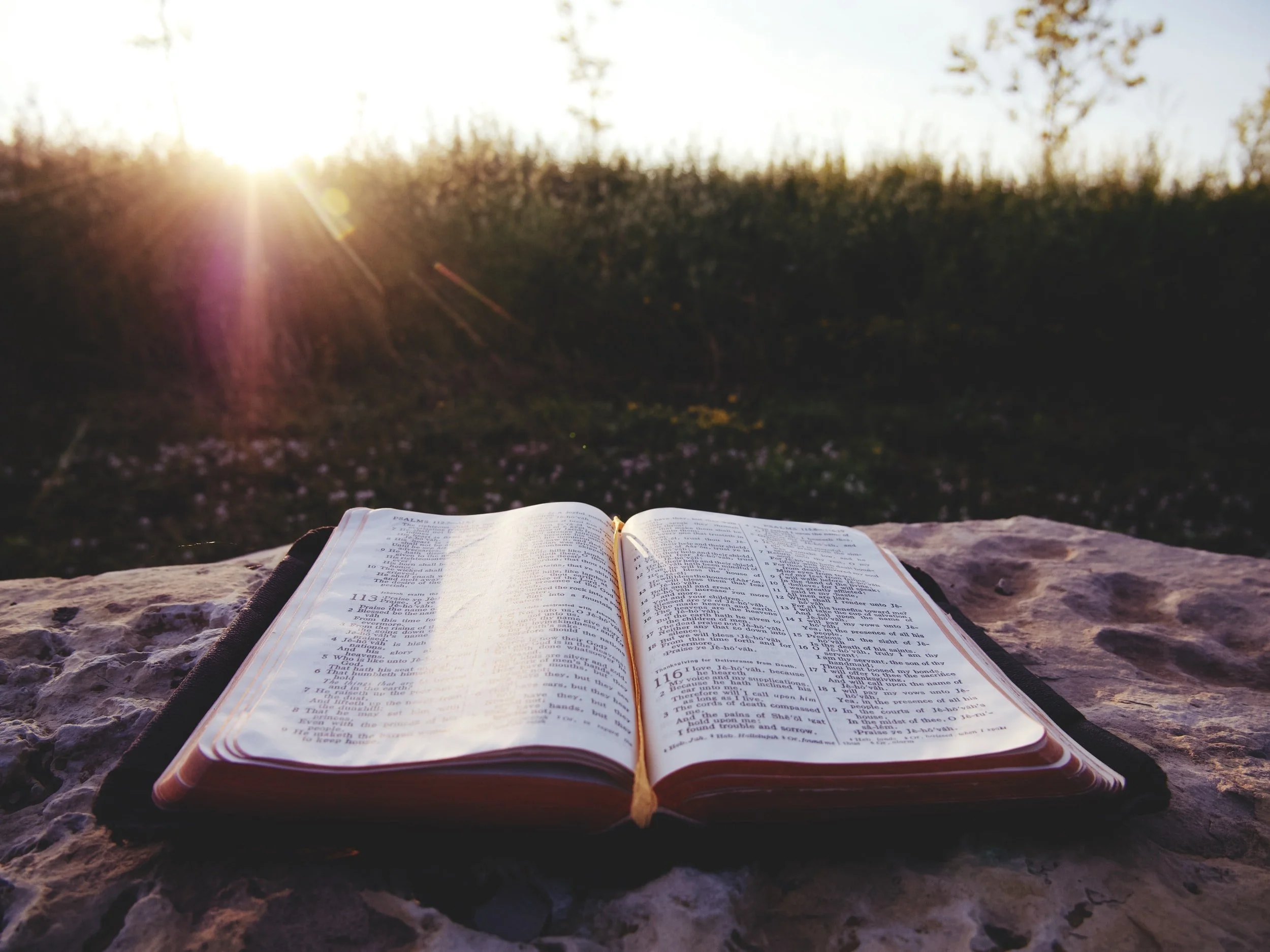 What Evidence Proves the Bible is Divinely Inspired?