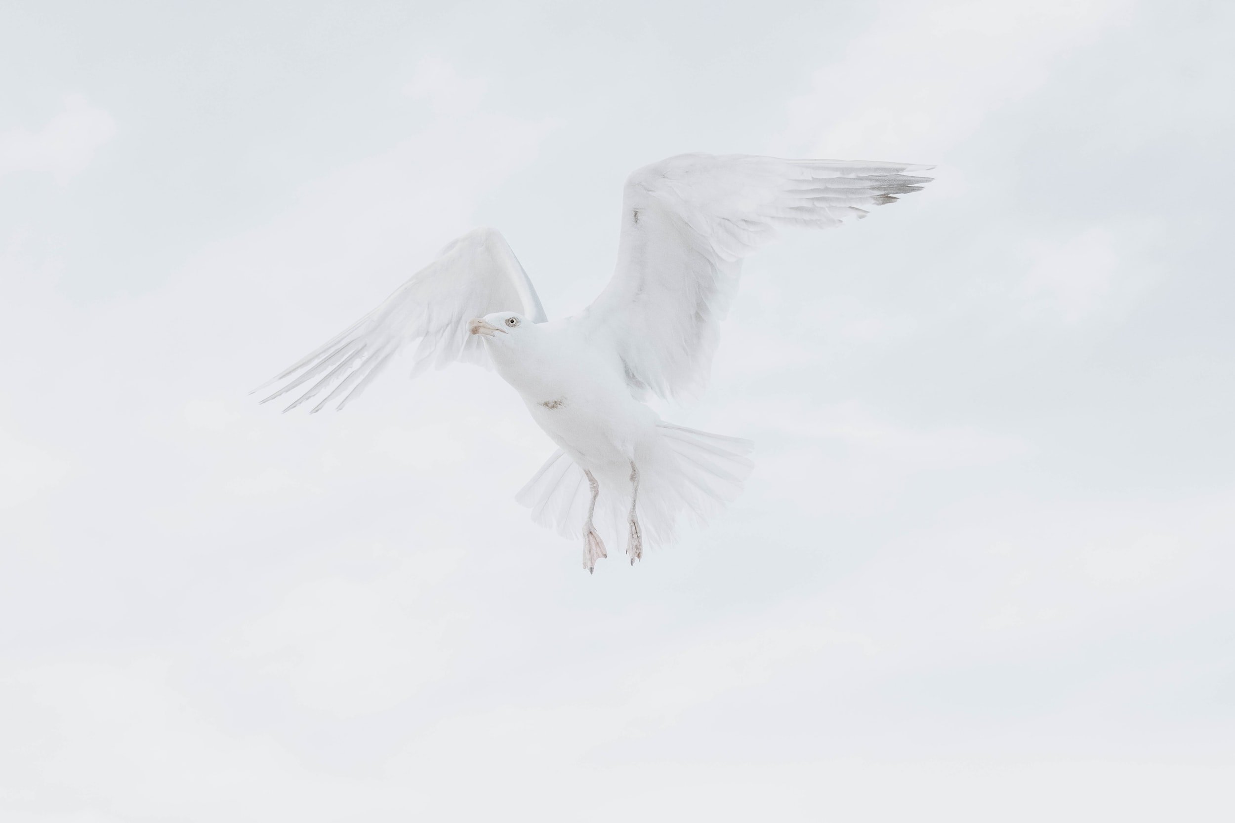 Is the Holy Spirit God?