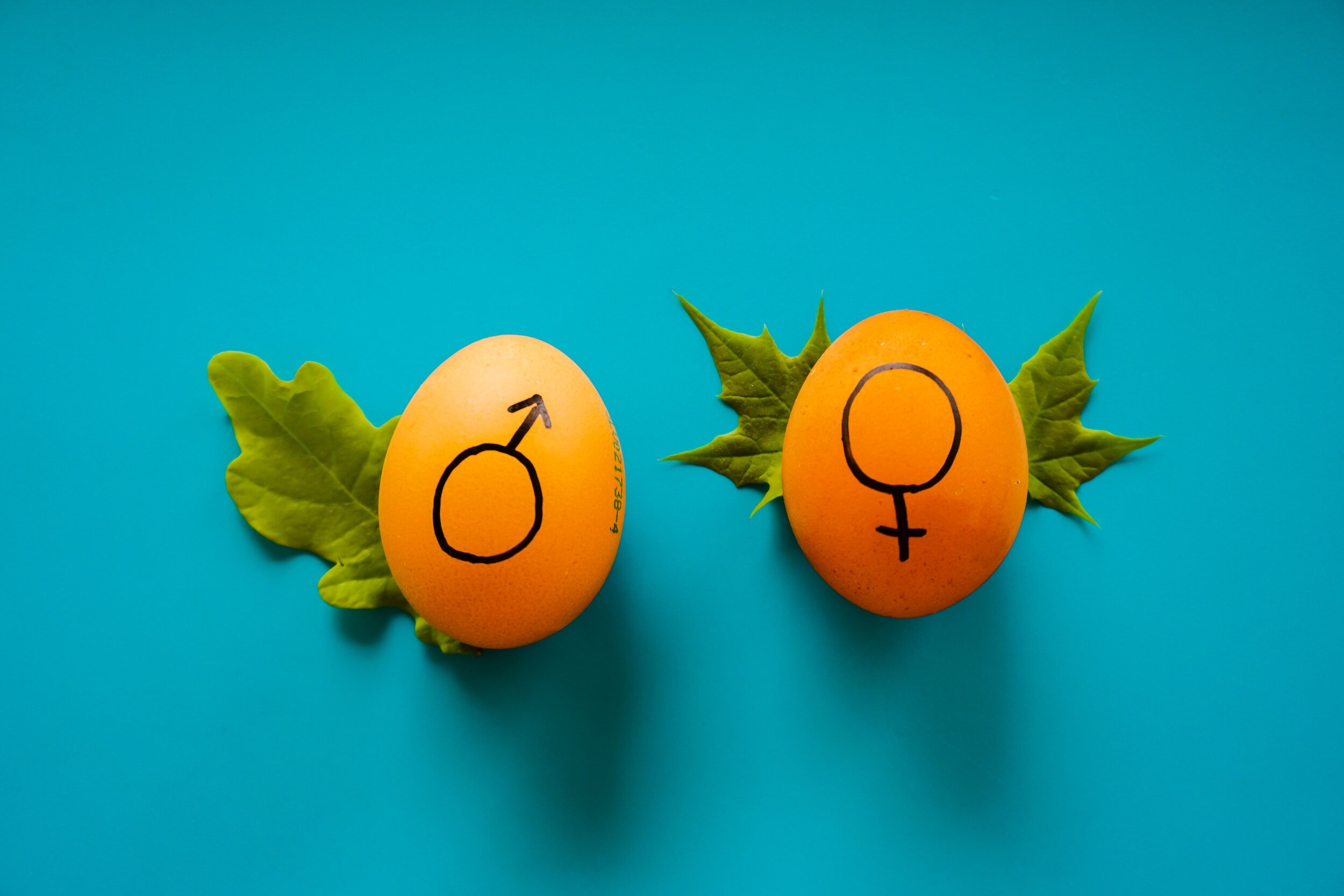 How should Christians handle their gender dysphoria?