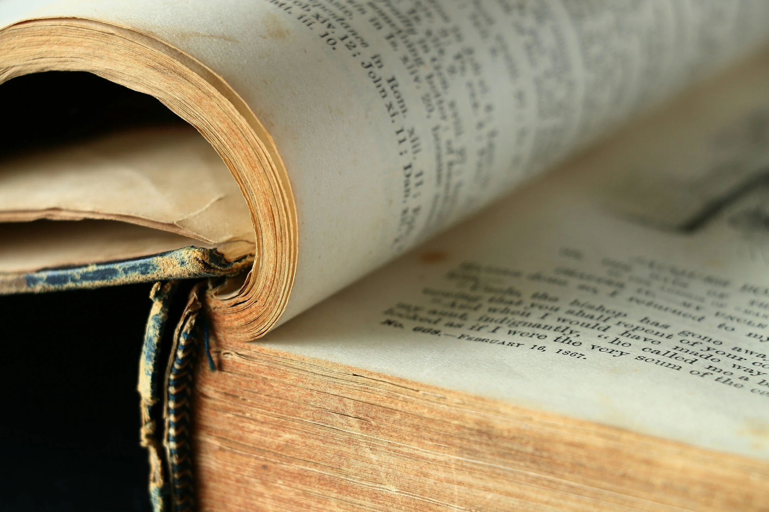 How does prophecy prove the Bible's divine origin?