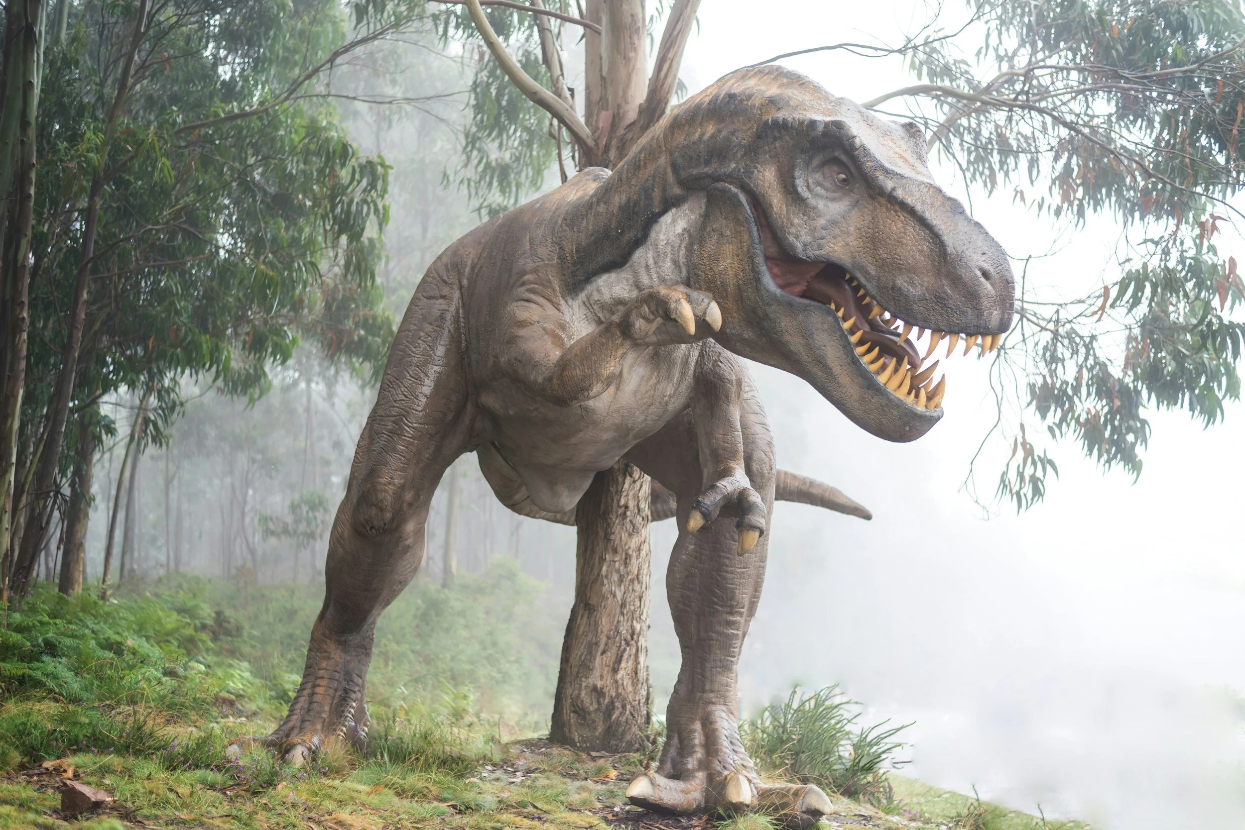 Does the Bible mention dinosaurs?