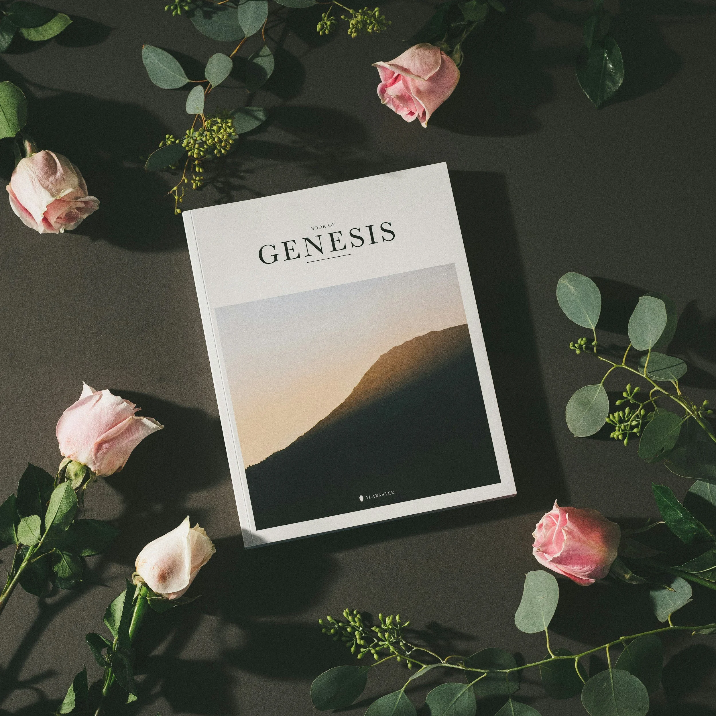 Does Genesis 2 contradict Genesis 1?