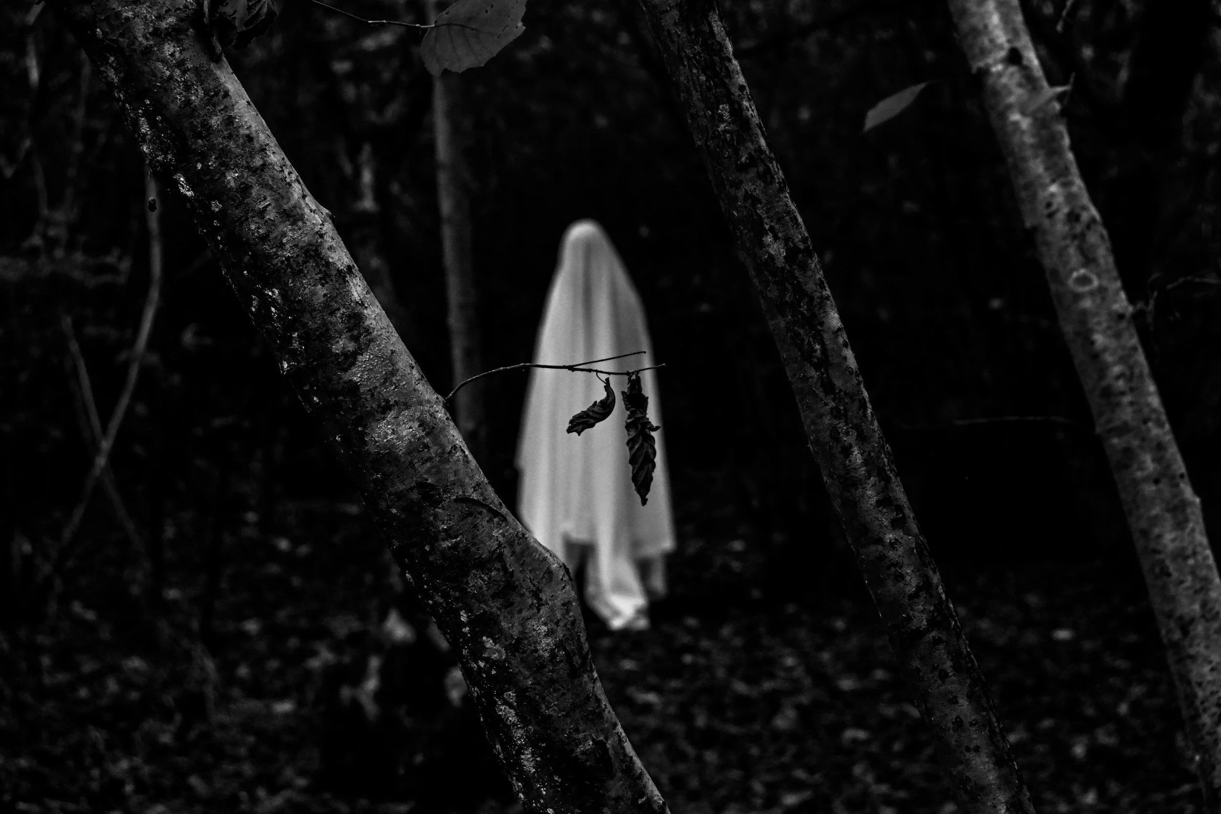 Are ghosts real?
