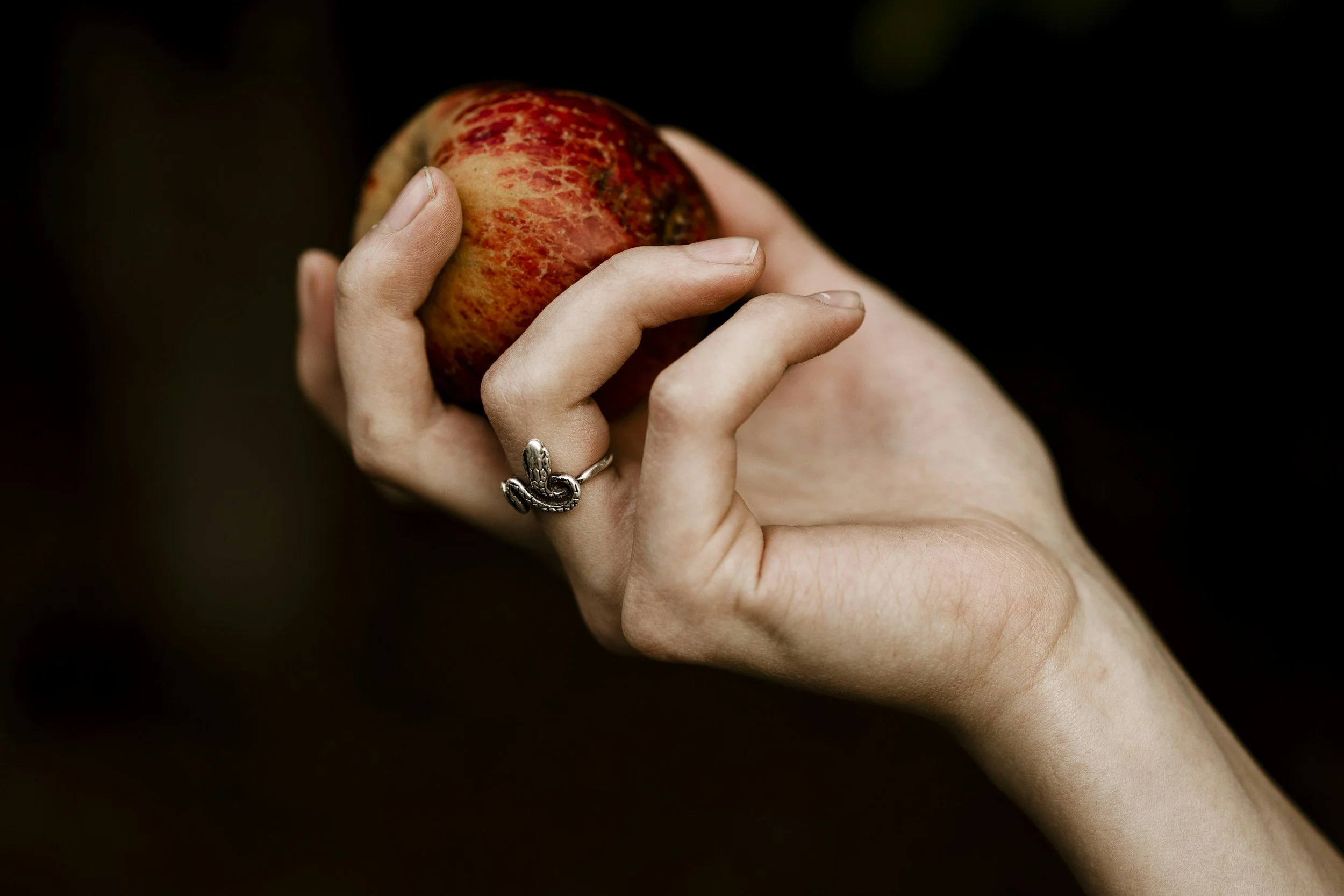 Did God lie to Adam in the Garden?