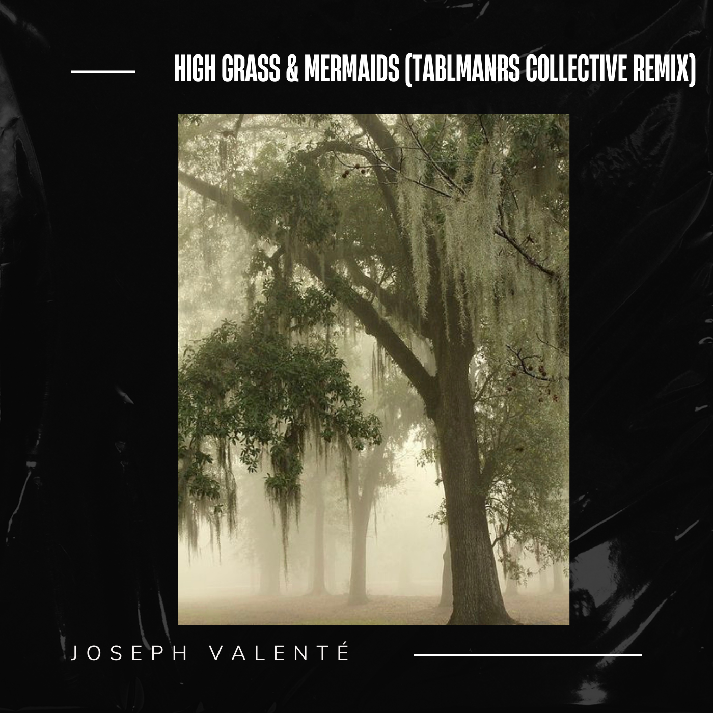 A weeping willow in the distance with a moody overlay