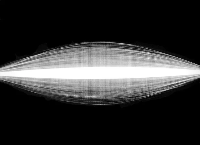 Vesica Pices.jpeg