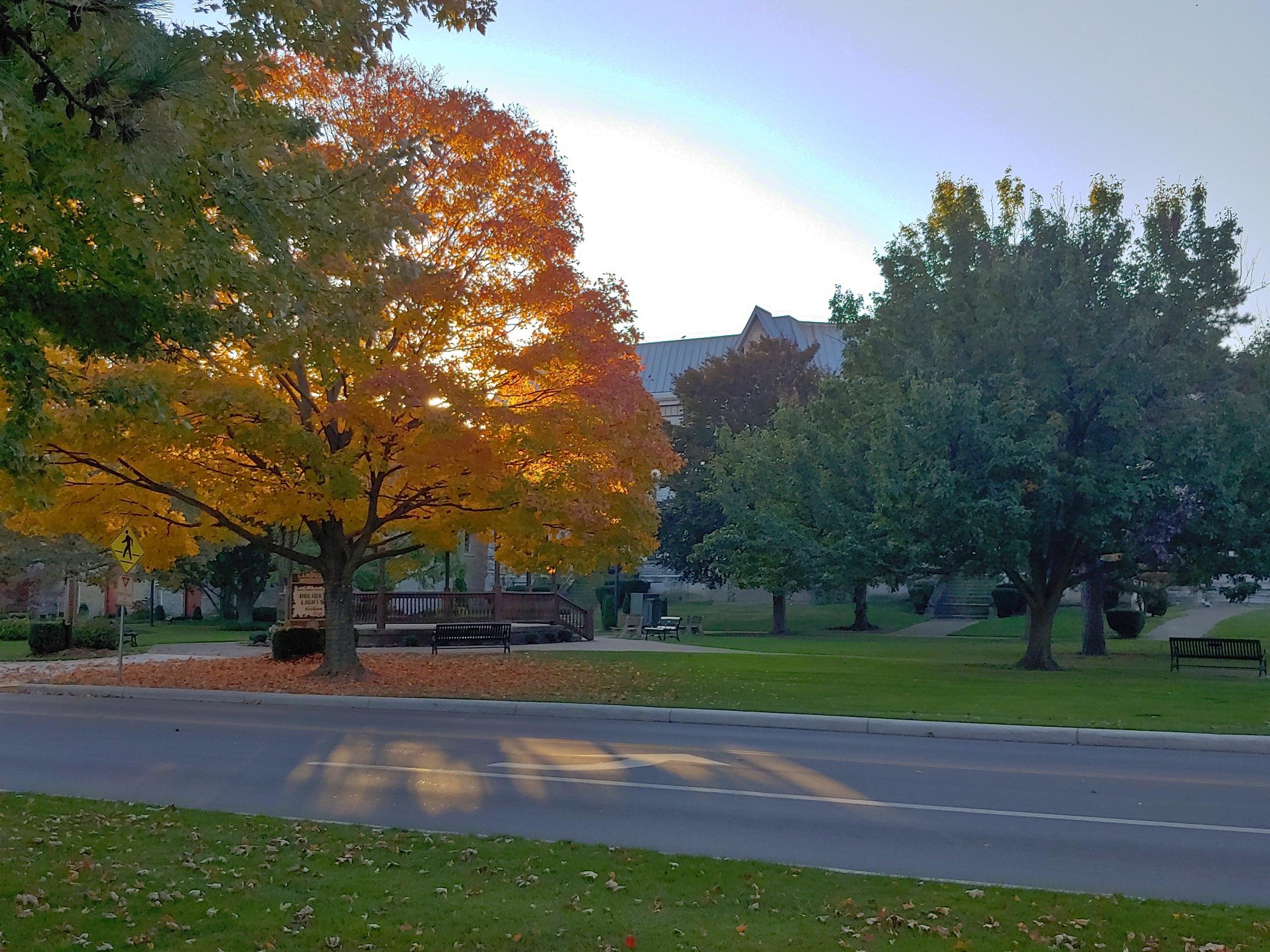 Free to Choose Your True Nature