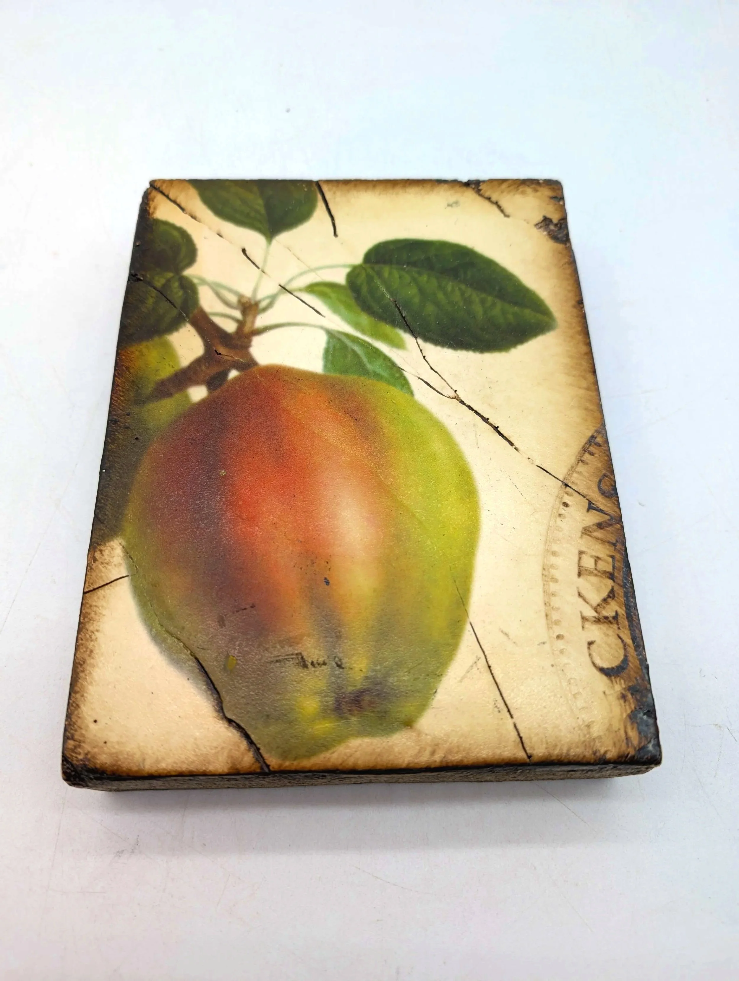 547.  Sid Dickens Aphrodite memory block 6''x8''1.5''  FIRM