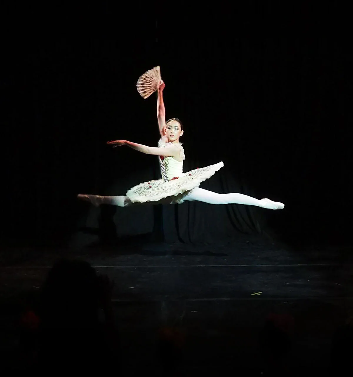 Sing. Dance. Act. Perform.