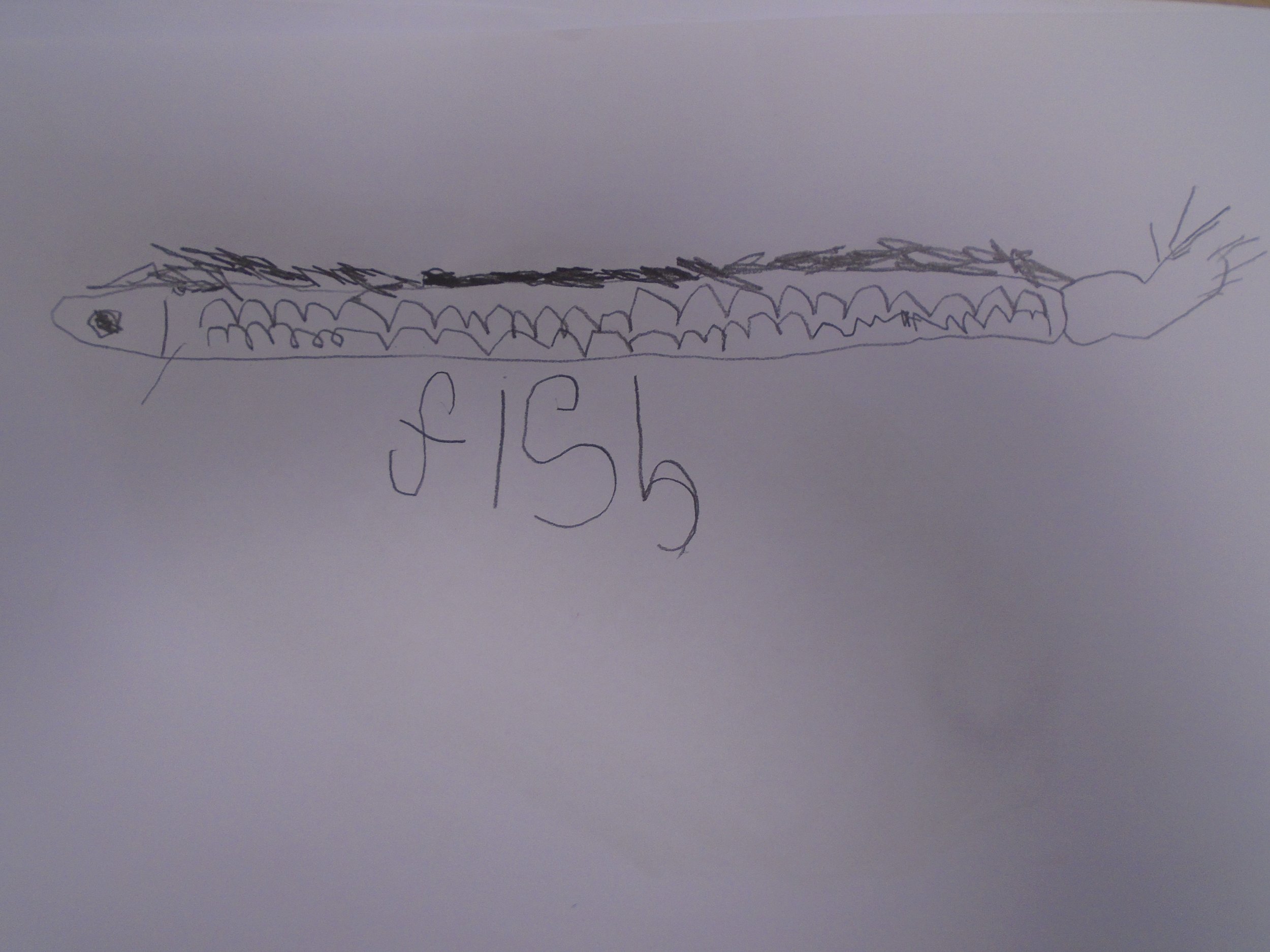 Fish 043.JPG