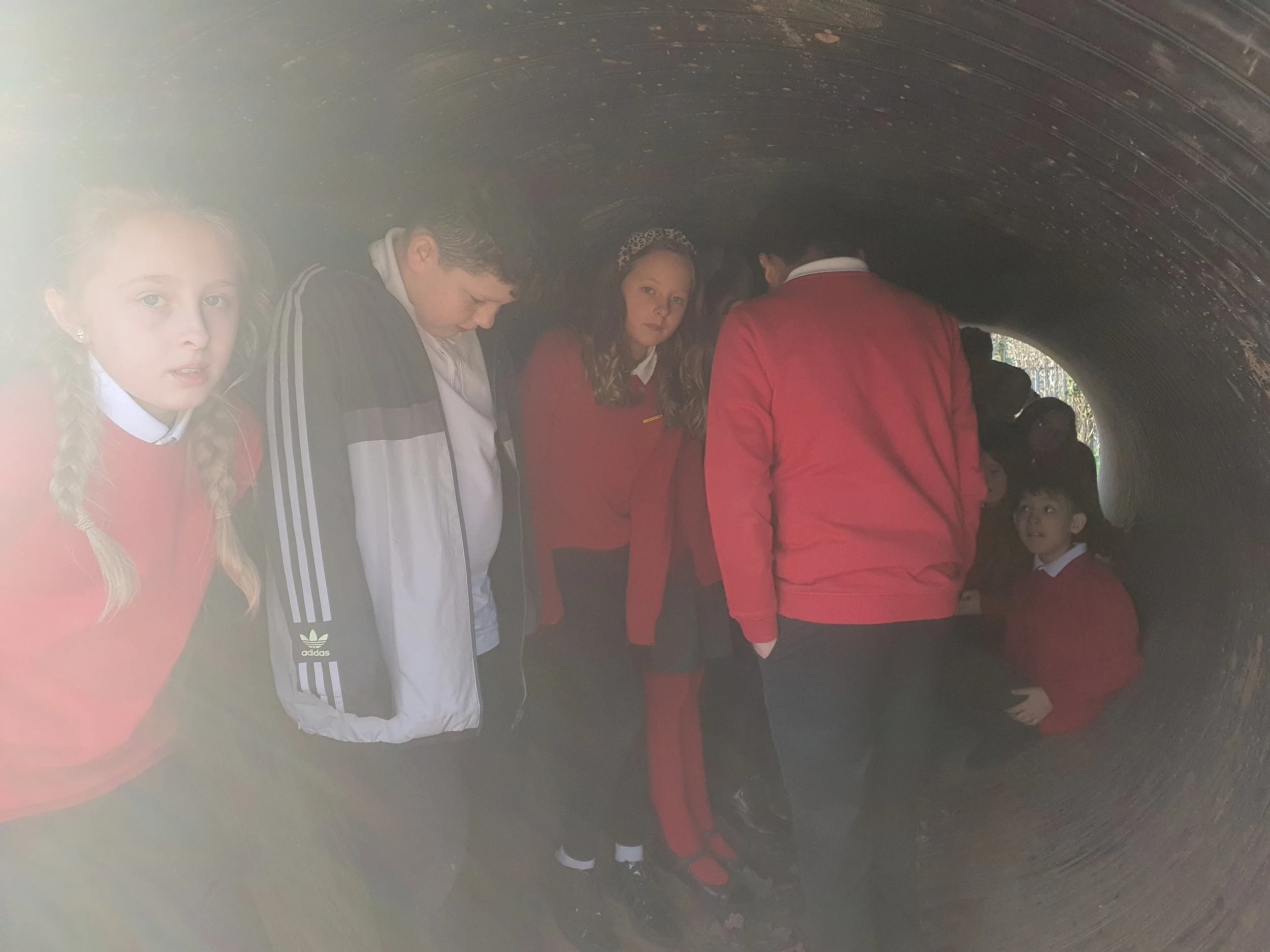 Why were Anderson shelters built during WWII?