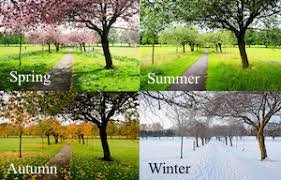 How many Seasons do we have?