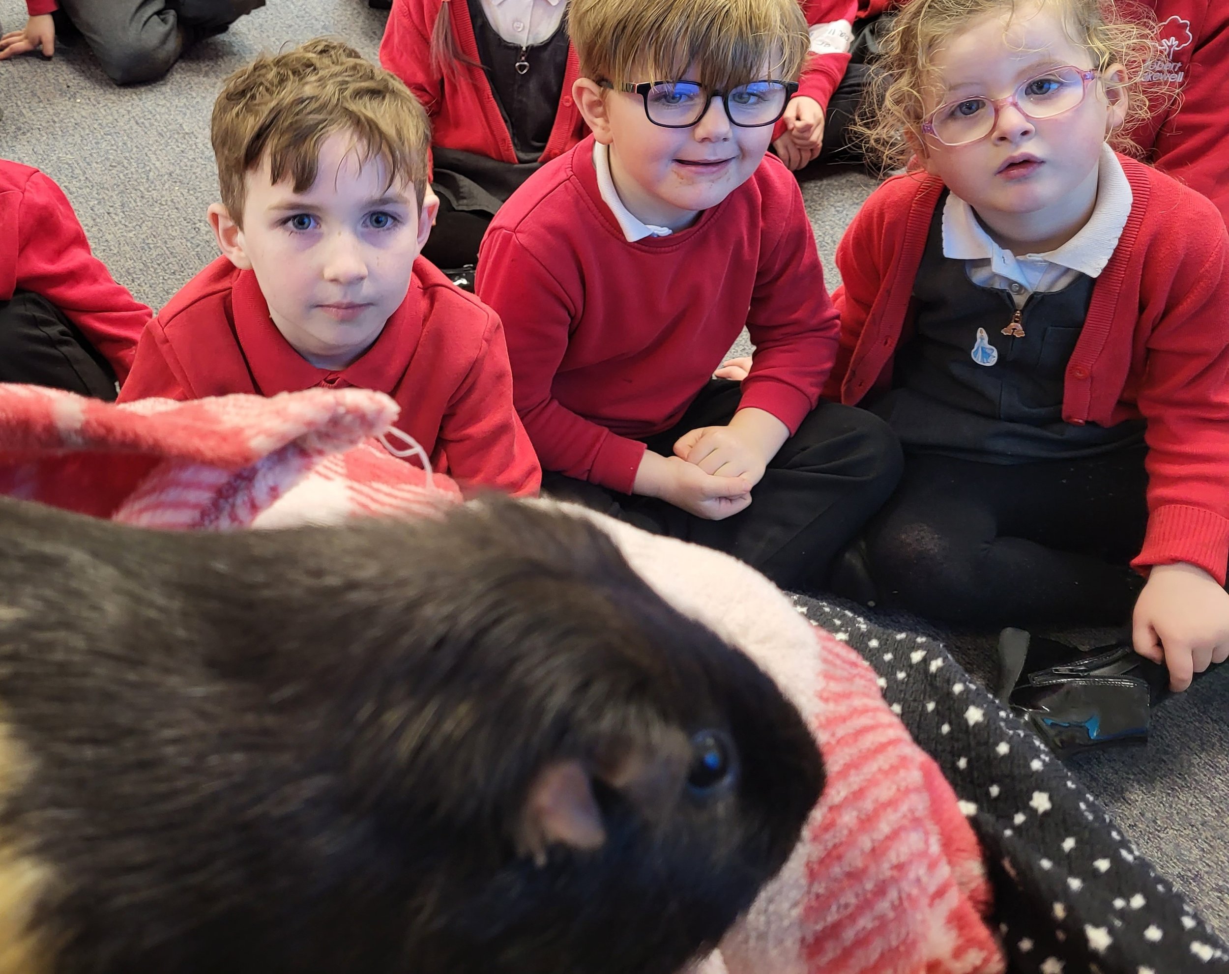 When the guinea pigs visited Alder and Ash class…