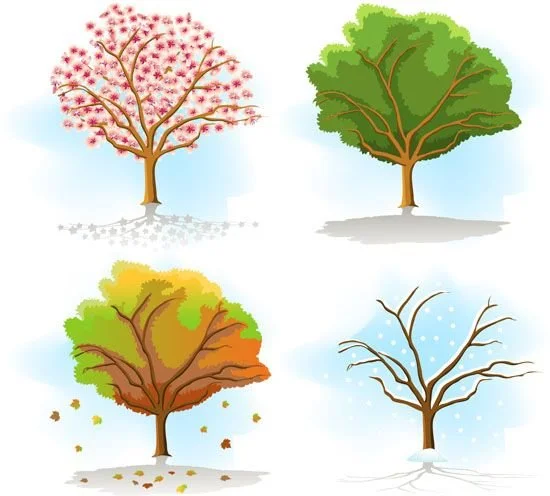 What are the 4 seasons?