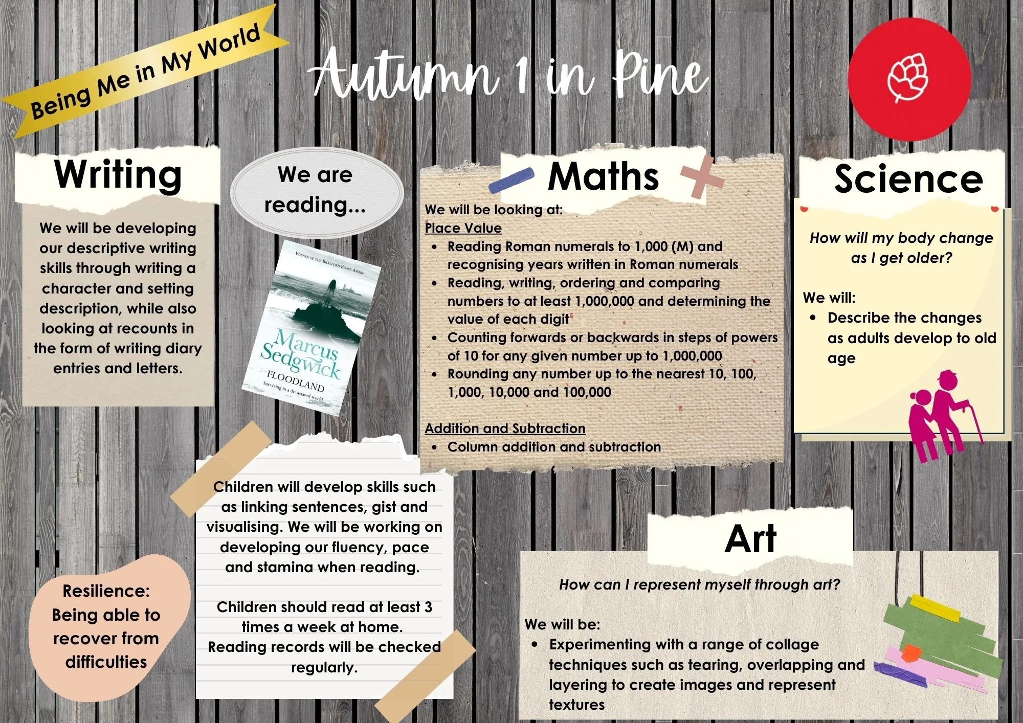 Autumn 1 in Pine - newsletter