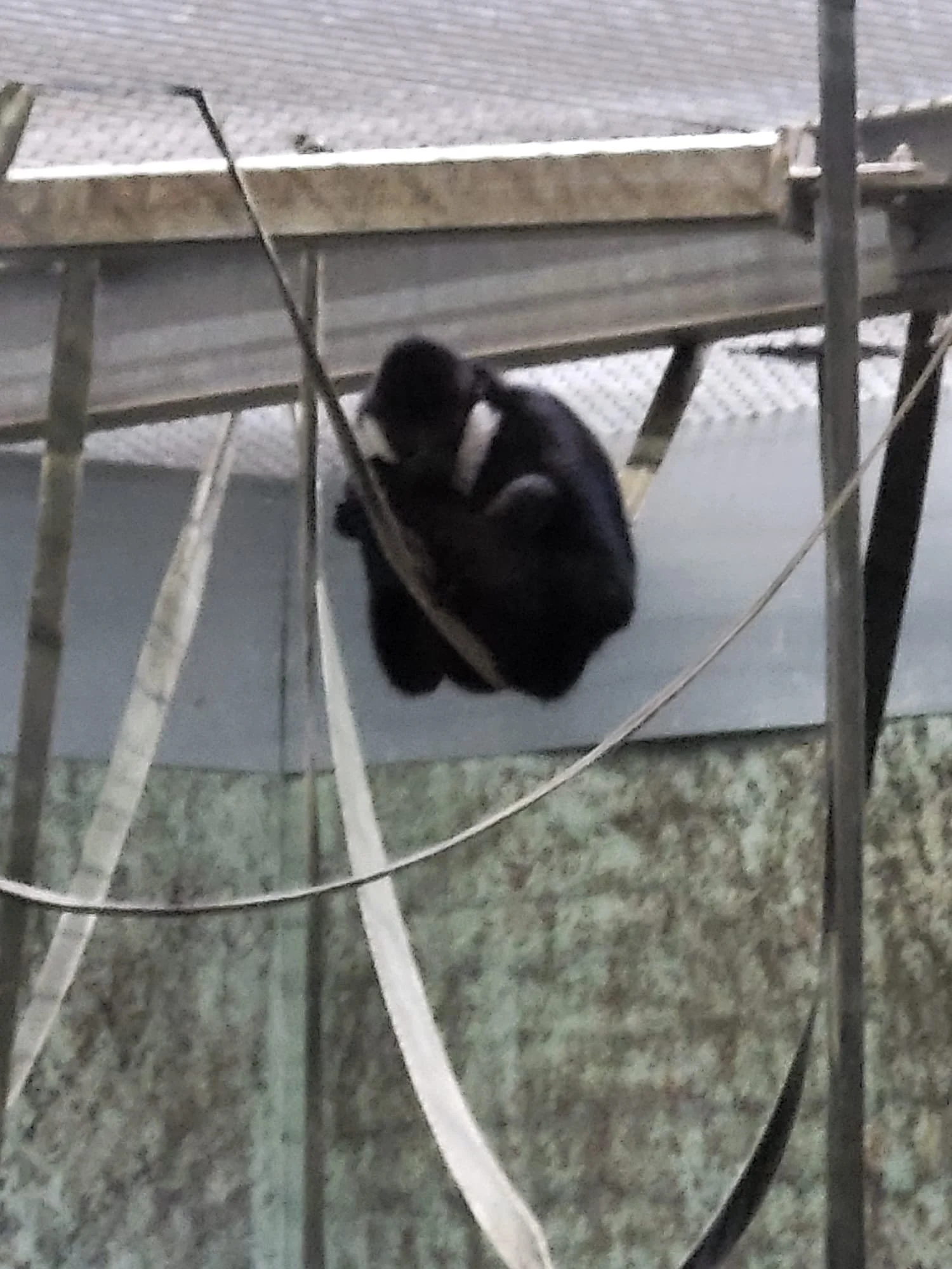image00018.jpeg
