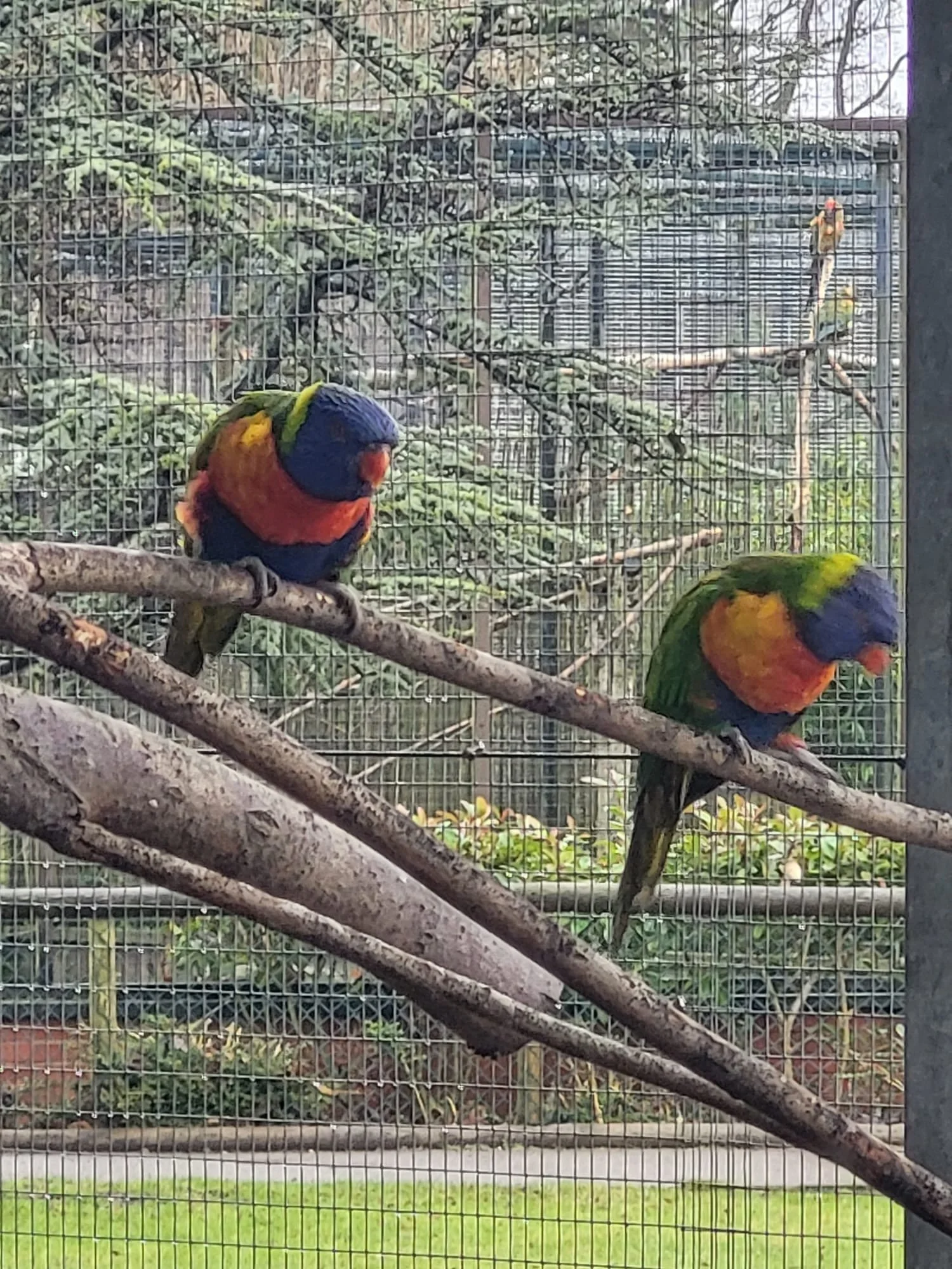 image00035.jpeg