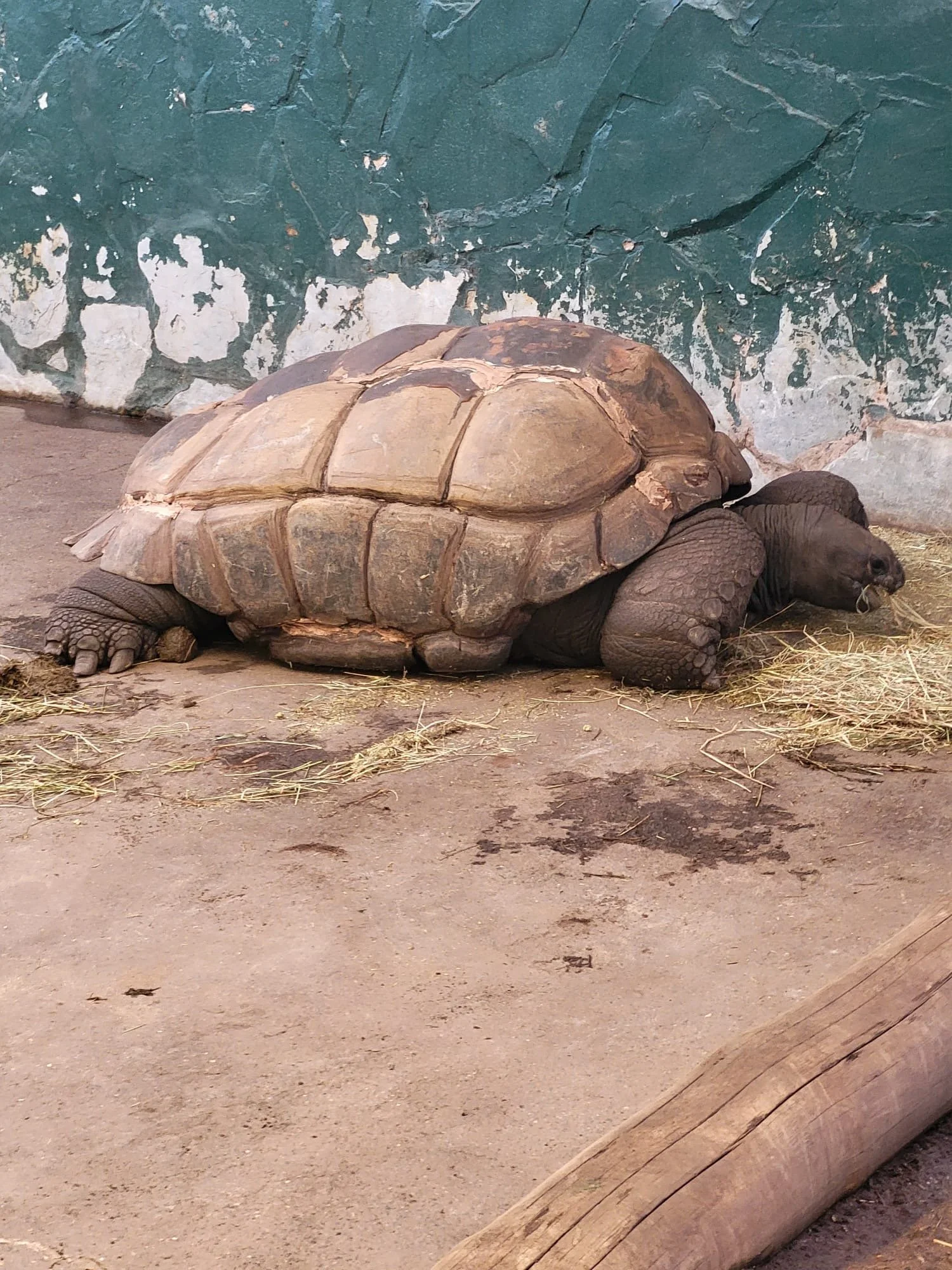 image00039.jpeg