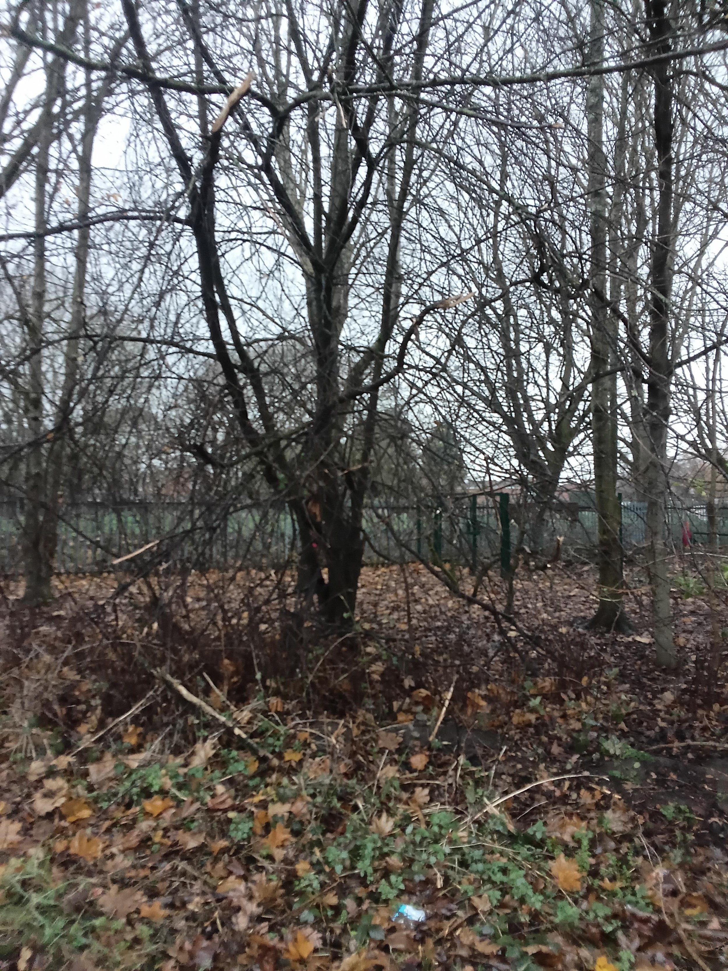 20251215_143204.jpg