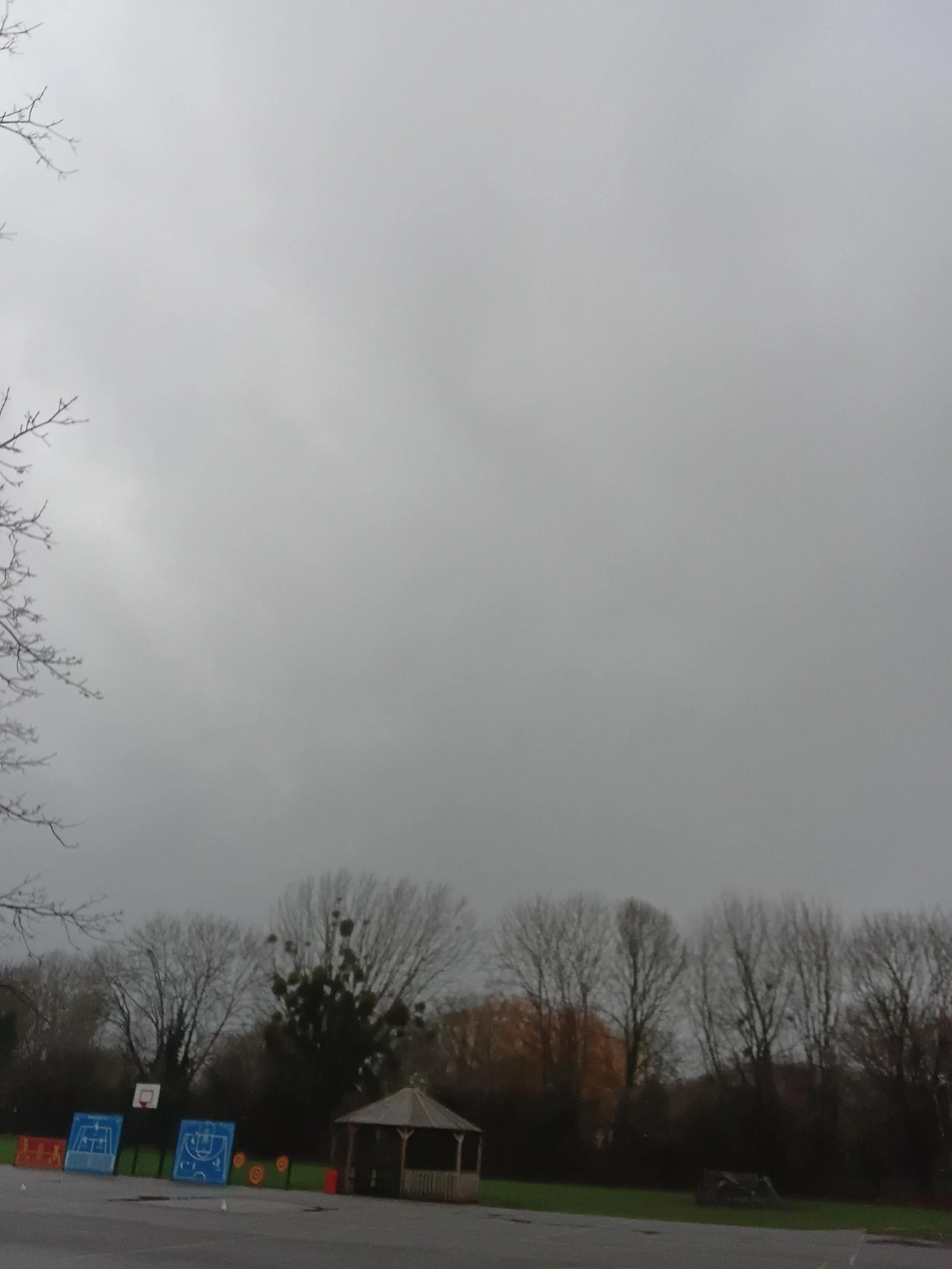 20251215_143035.jpg