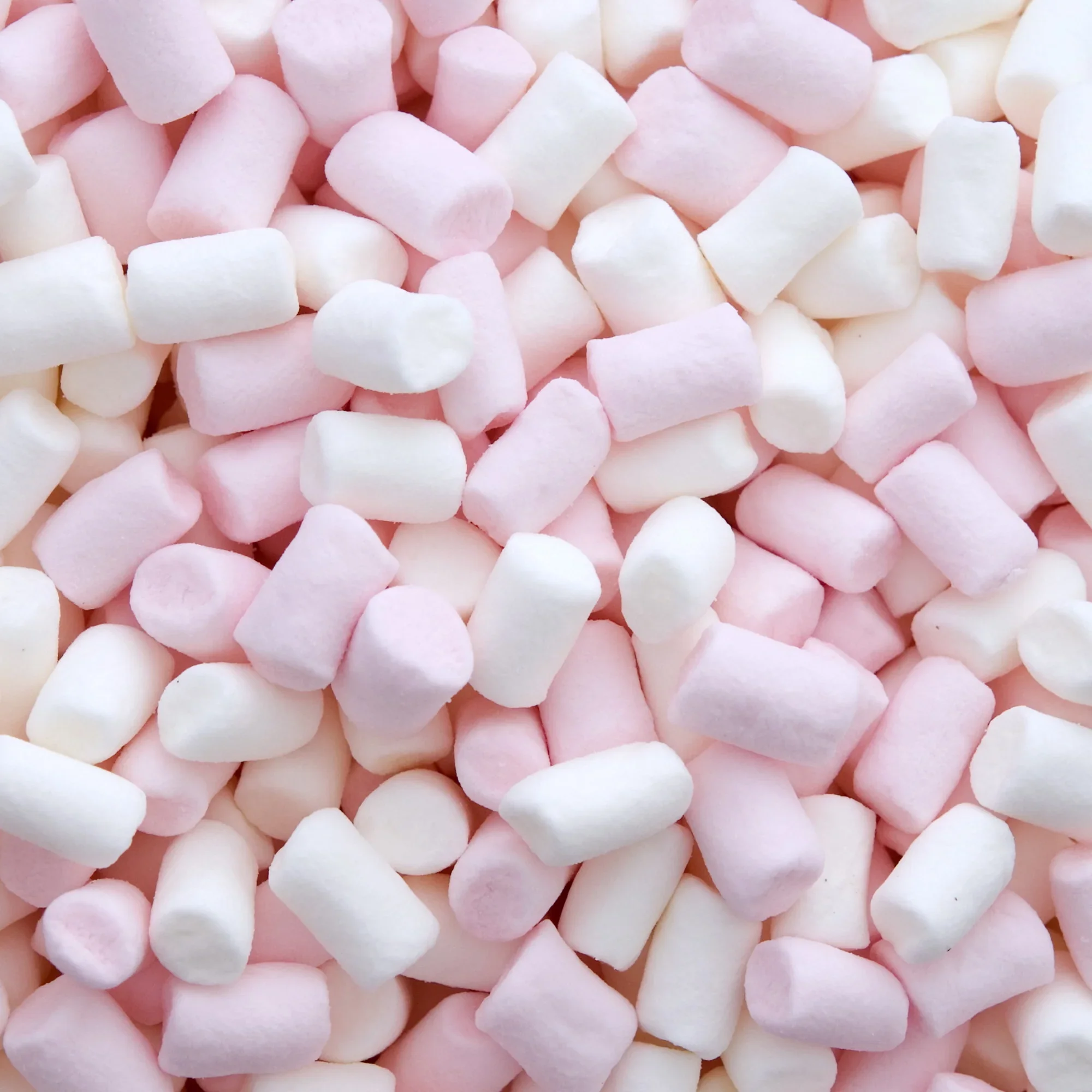 Marshmallow Maths
