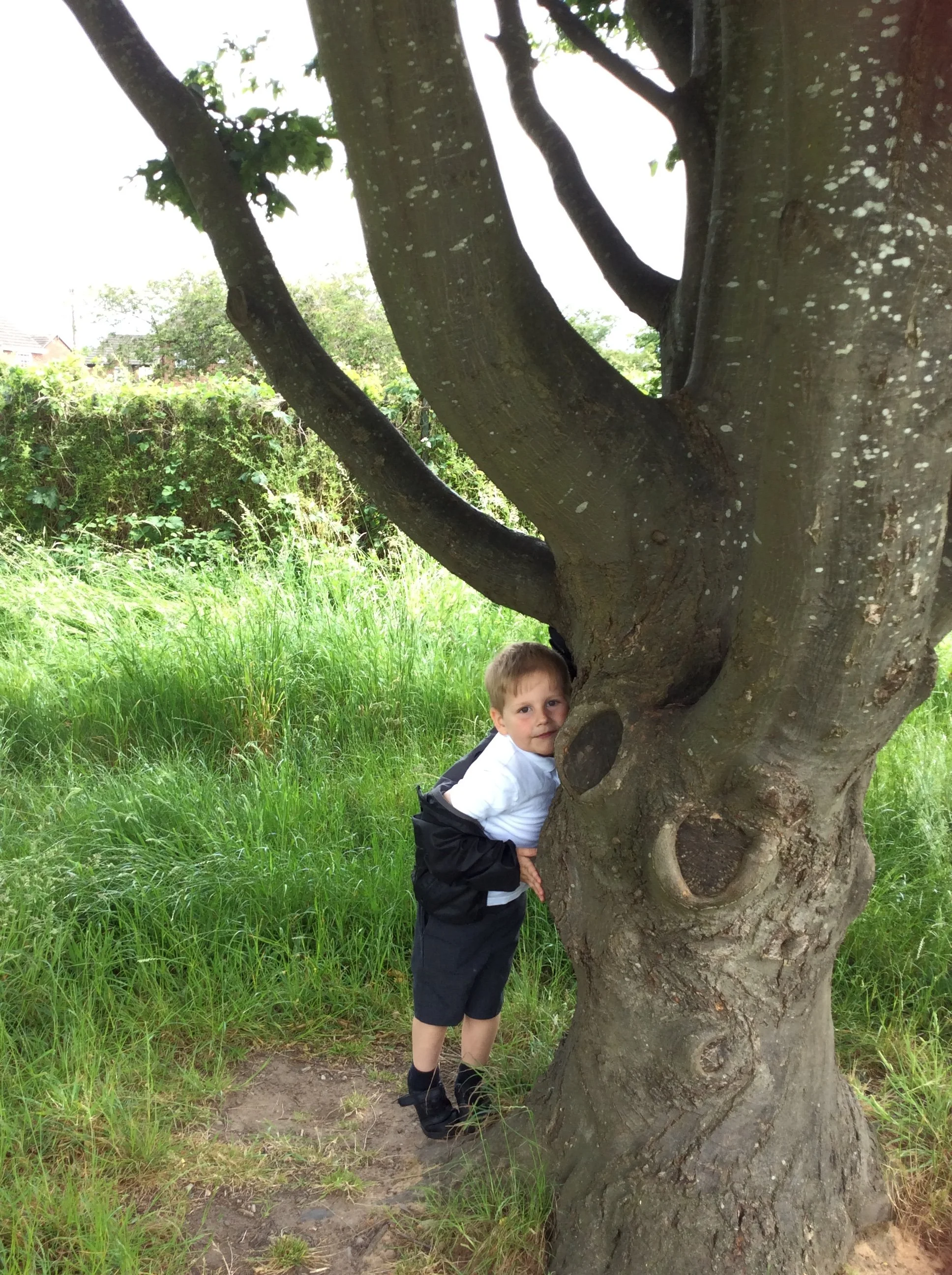What plants did we see in the school grounds?