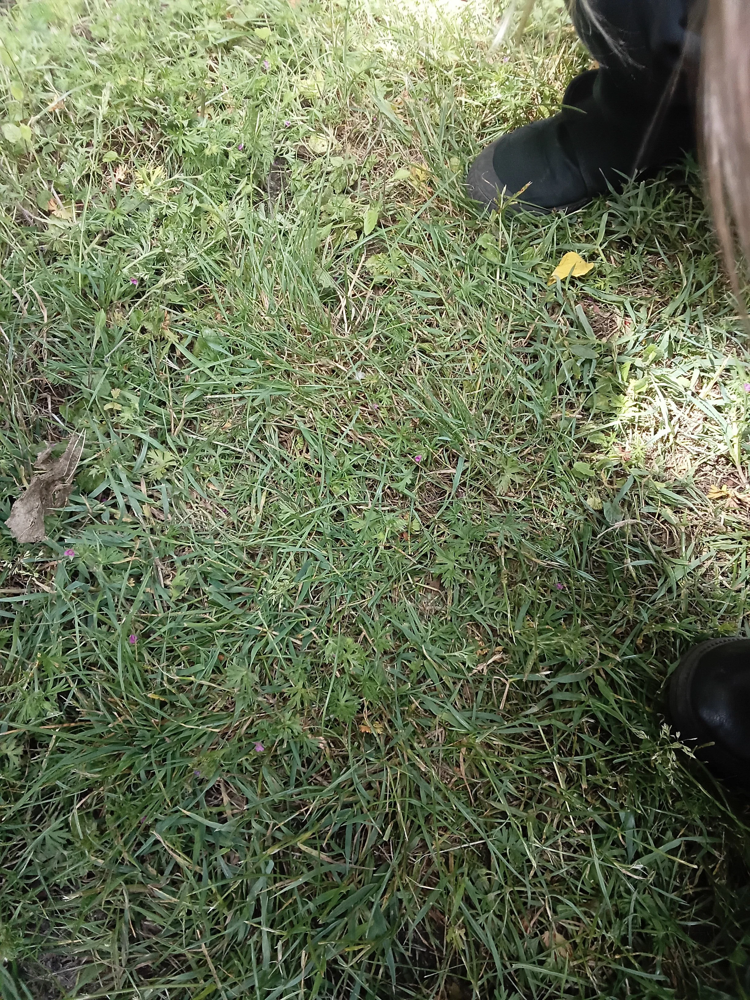 20260609_131911.jpg