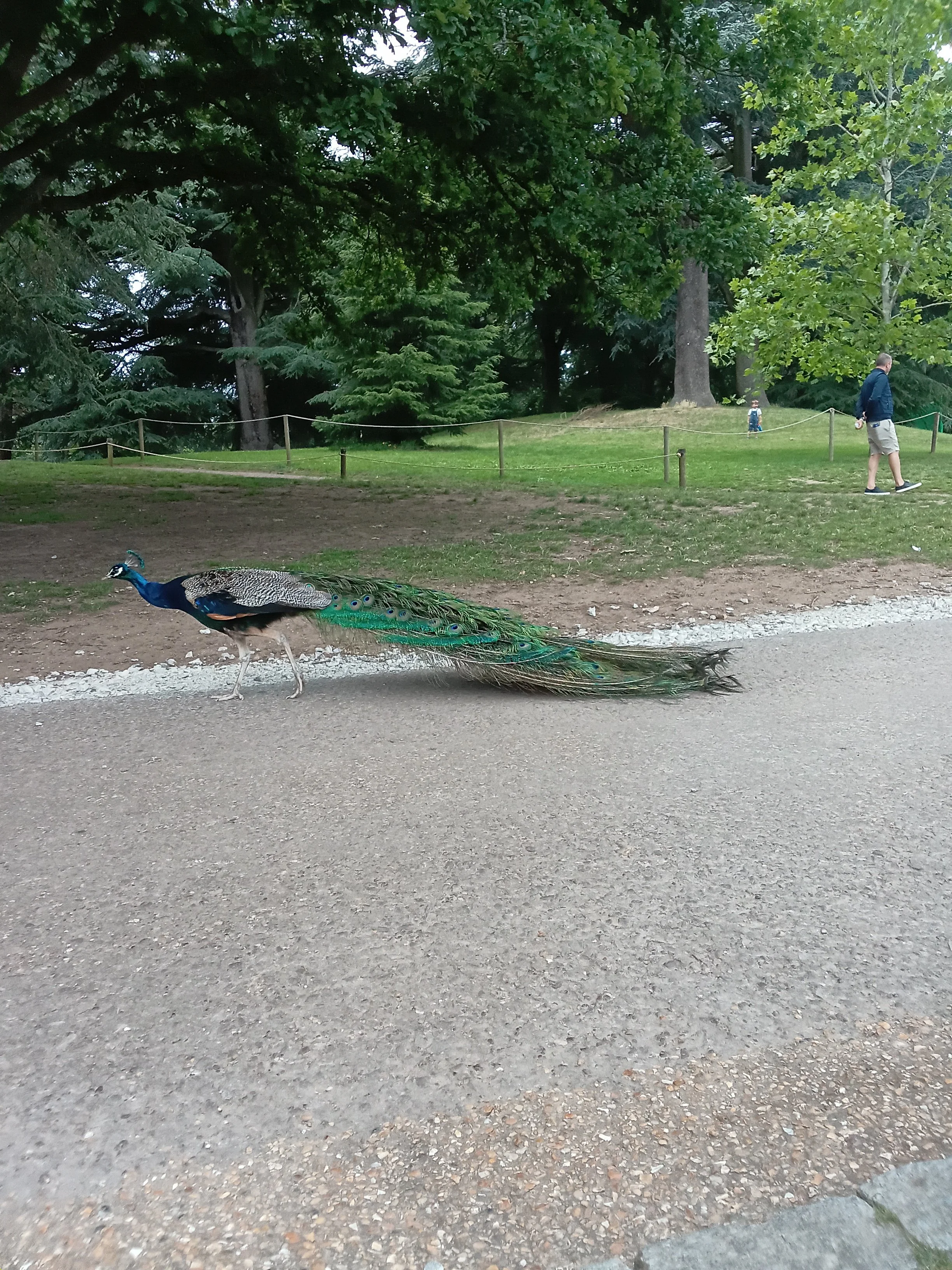 20260616_123941.jpg
