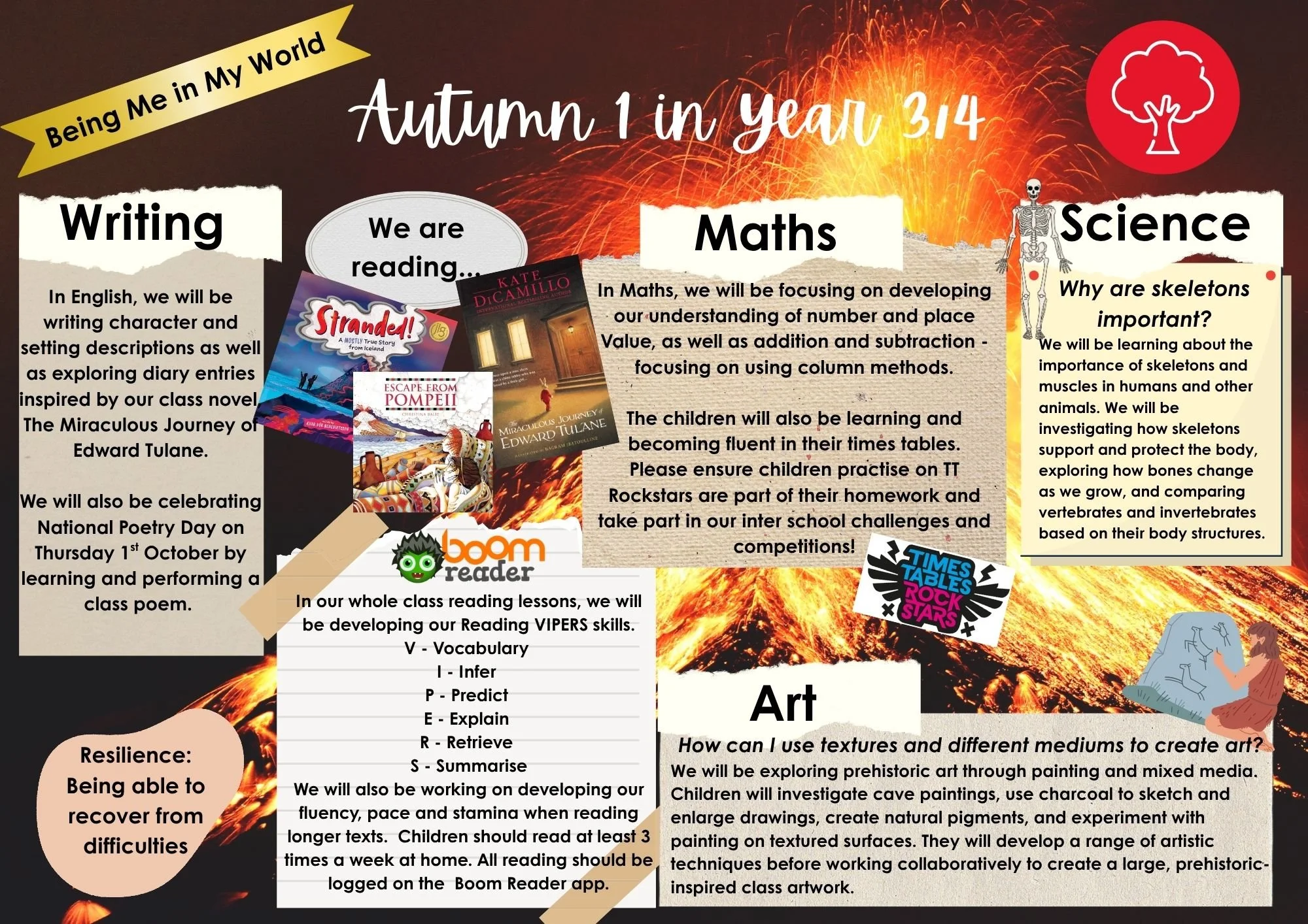 Autumn 1 Newsletter