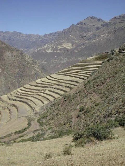Terraced fields on a mountainside with distant peaks in the background.