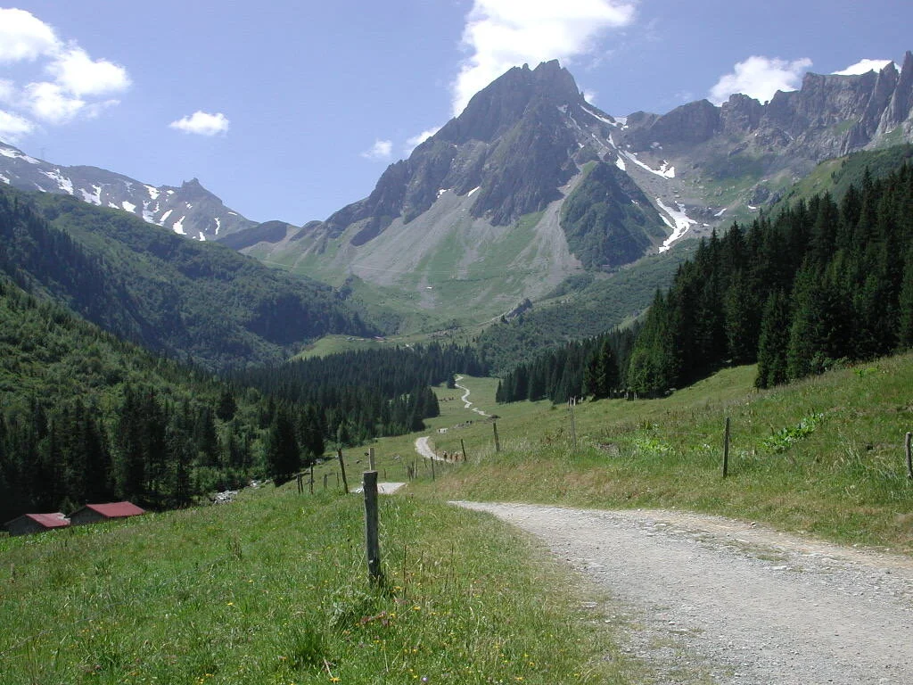 Mountain landscape with a winding path, surrounded by grassy fields, dense forests, and rugged peaks with patches of snow under a blue sky.