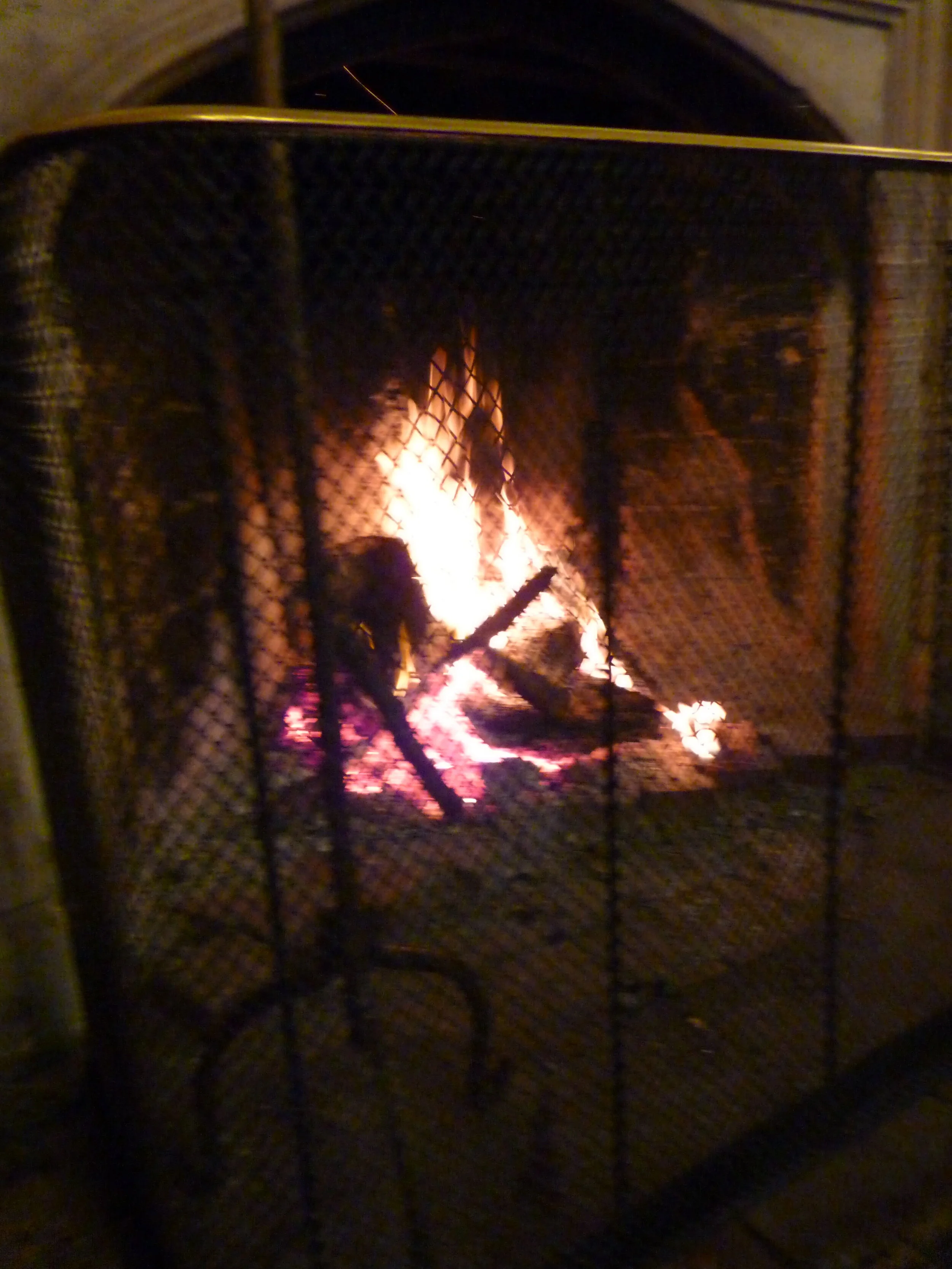 Fireplace with burning fire and logs behind a metal mesh screen.